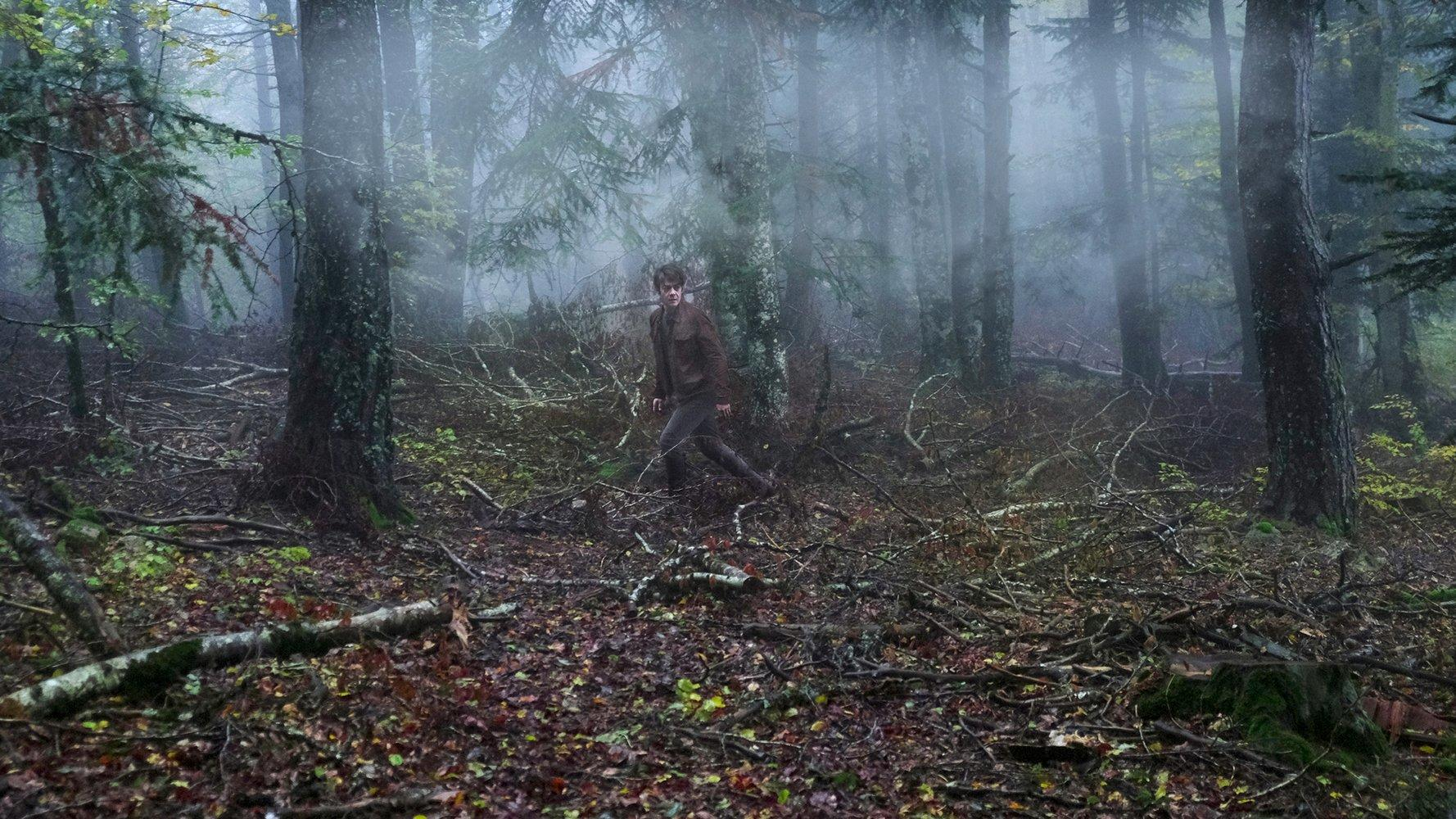 Ein Mann geht durch einen nebligen Wald. Bäume umgeben ihn. Braune Blätter bedecken den Boden.