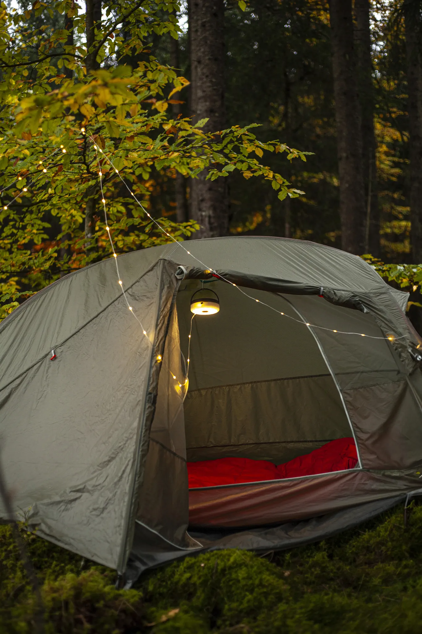 Una tenda aperta in una foresta. Una stringa di luci pende dalla tenda. All'interno c'è un sacco a pelo rosso.