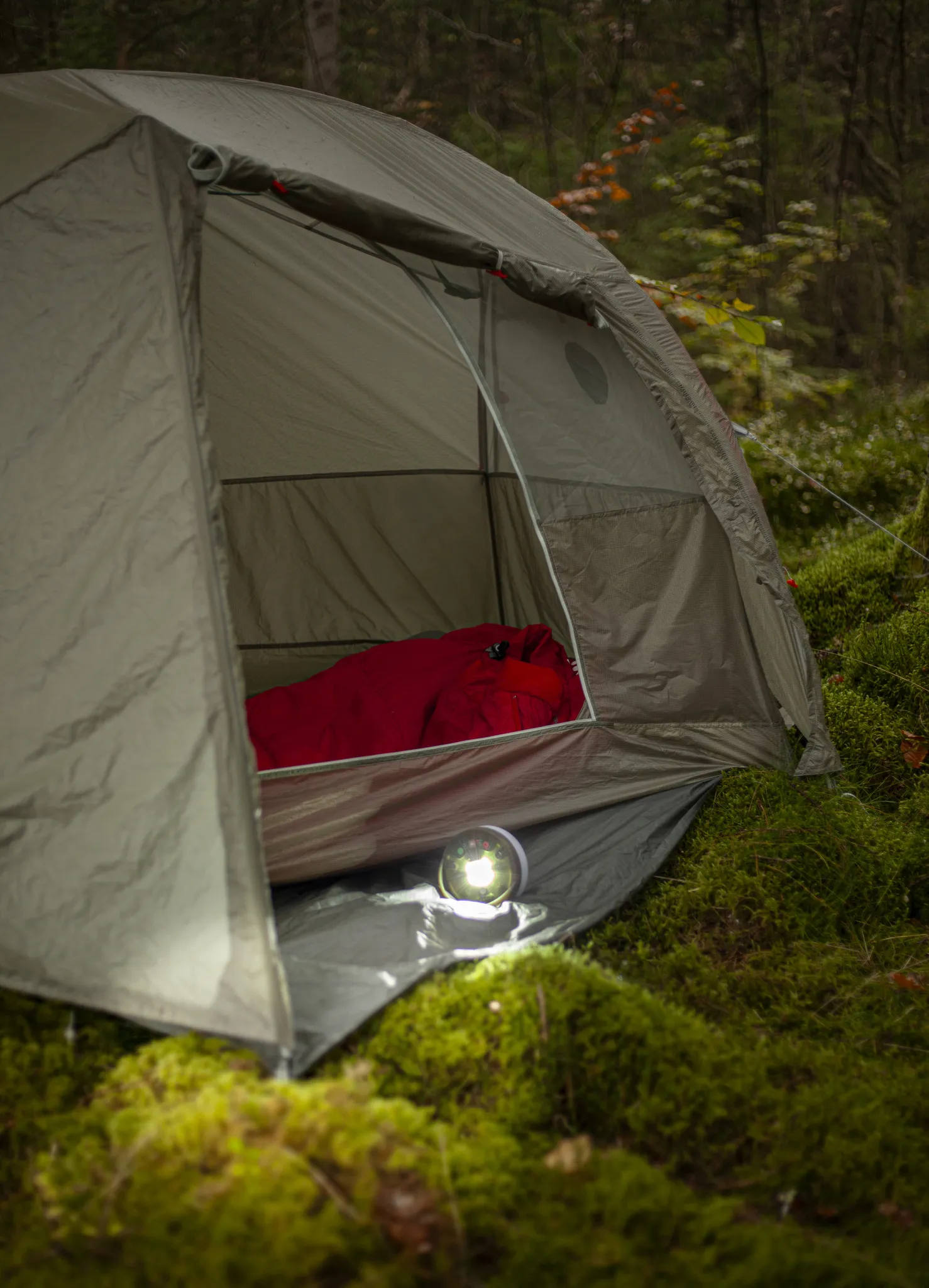 Una tenda in un ambiente forestale. All'interno, è visibile un sacco a pelo rosso. Una lampada brilla vicino all'ingresso. Il muschio verde copre il terreno.