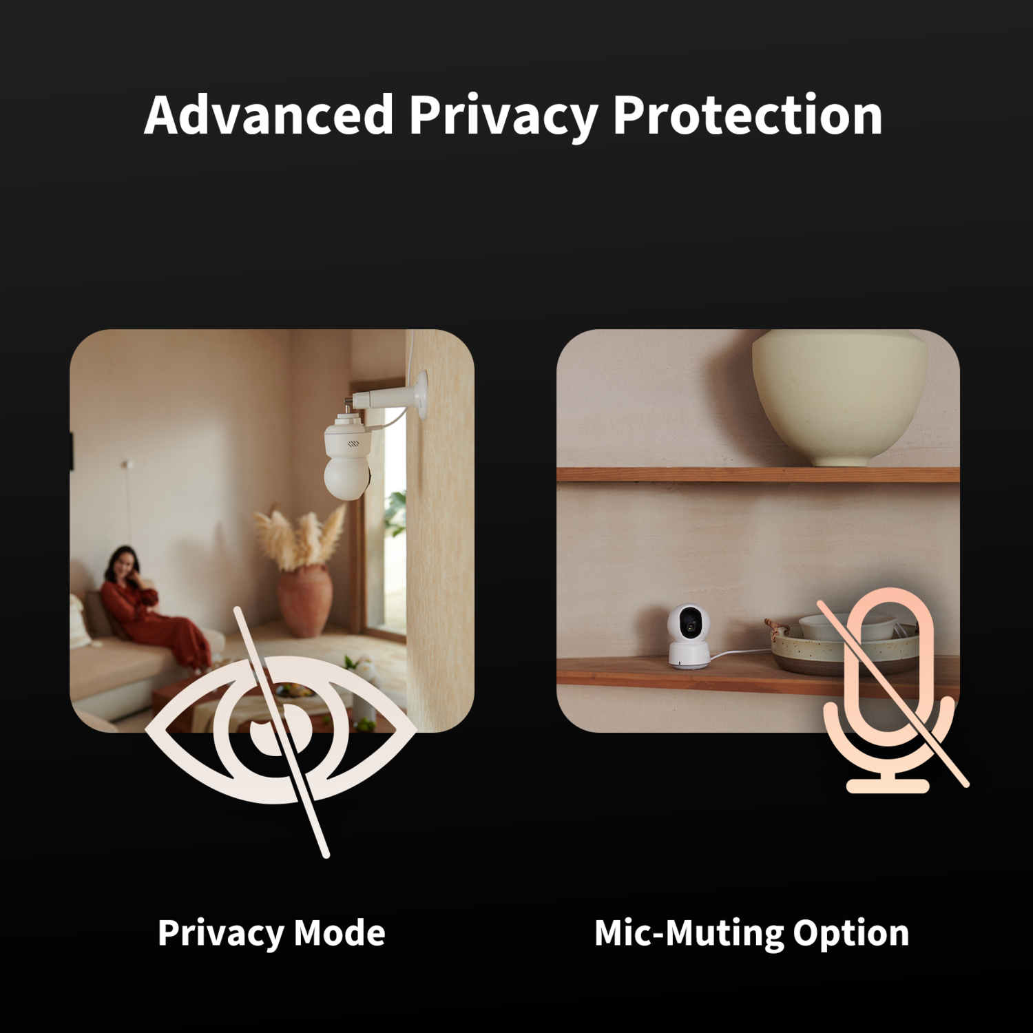 Image shows privacy features: Privacy Mode with an eye symbol and Mic-Muting Option with a microphone symbol, both crossed out.