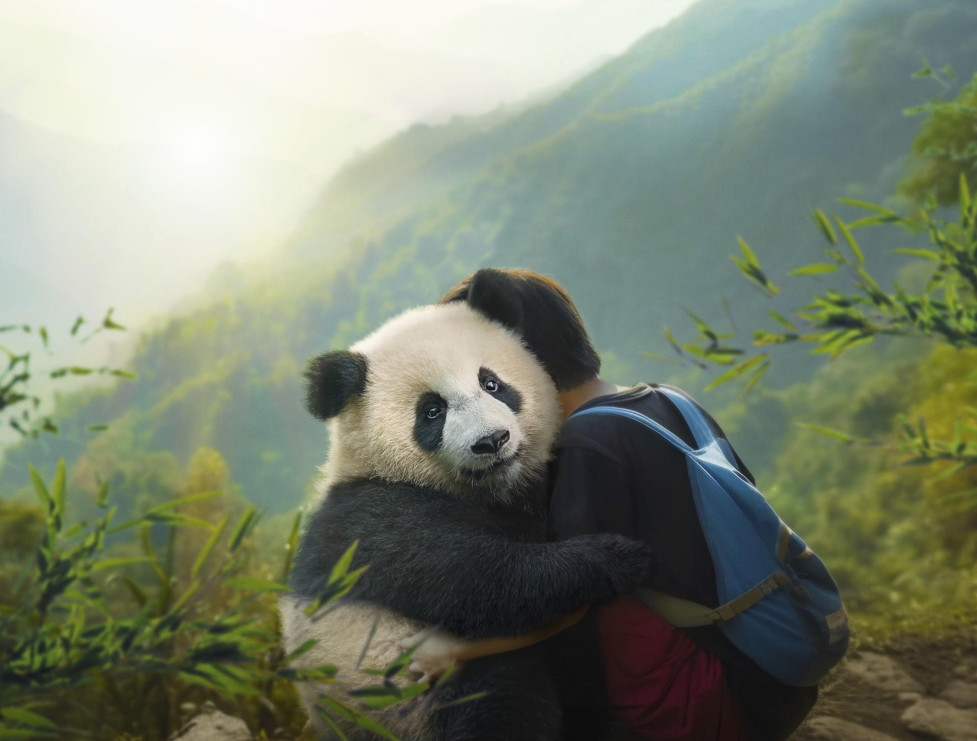 Eine Person umarmt einen Panda in einer Berglandschaft. Der Panda ist überwiegend schwarz und weiß. Die Person trägt einen Rucksack.