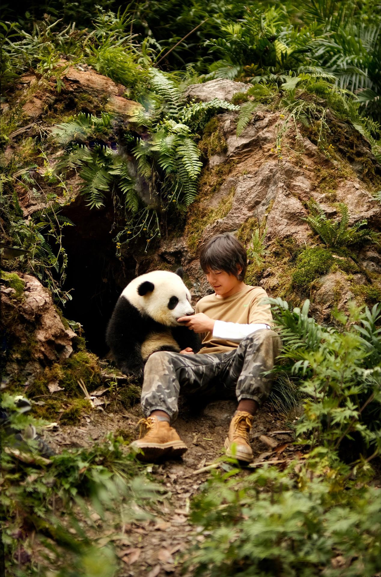 Ein Junge sitzt mit einem Pandabären in einer Höhle. Der Junge berührt das Gesicht des Pandas. Grüne Pflanzen und Felsen umgeben sie.