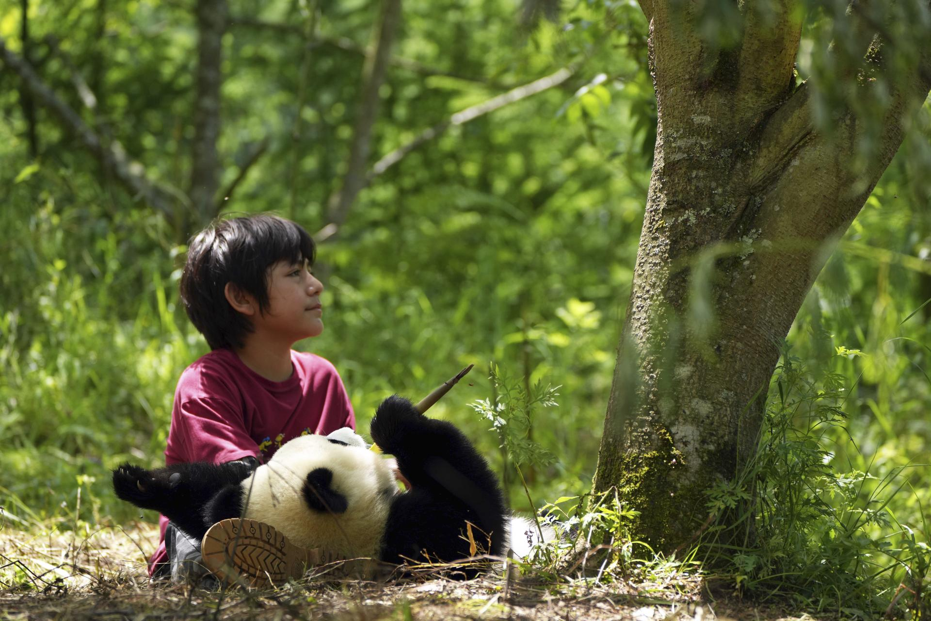 Ein Junge in einem roten Hemd sitzt neben einem Panda. Der Panda liegt auf dem Rücken. Bäume und grünes Laub im Hintergrund.