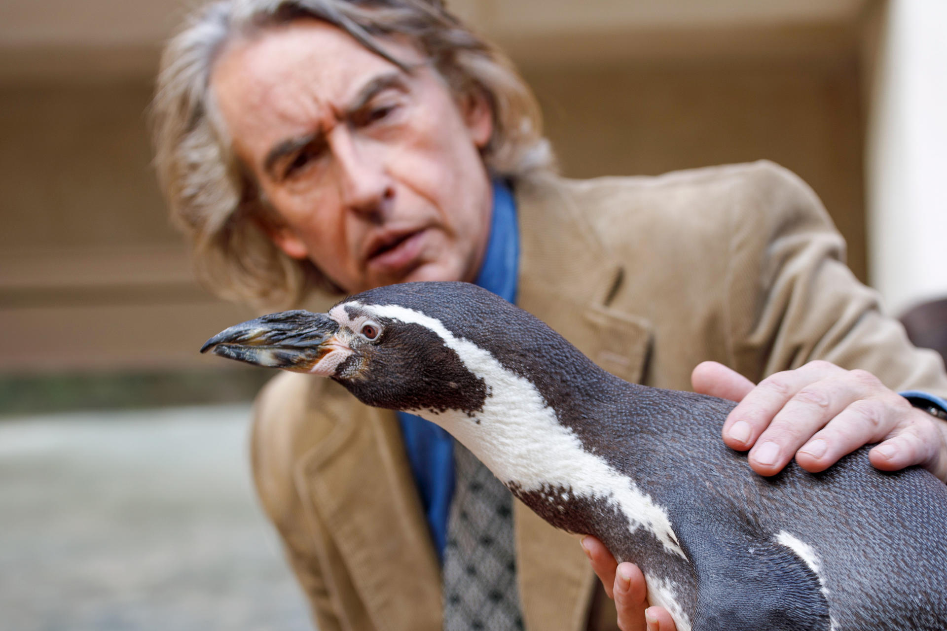 Ein Mann hält einen Pinguin. Der Pinguin hat schwarz-weiße Federn. Der Mann trägt eine braune Jacke und schaut den Pinguin an.