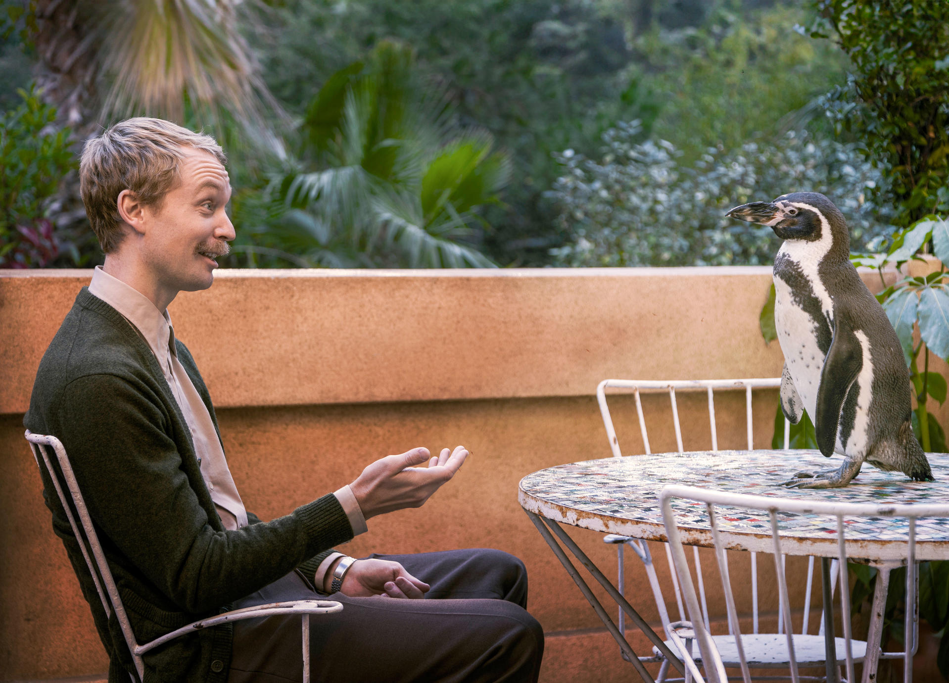 Ein Mann sitzt neben einem Pinguin auf einer Terrasse. Der Mann gestikuliert mit den Händen. Ein weißer Tisch und Stühle befinden sich in der Nähe.