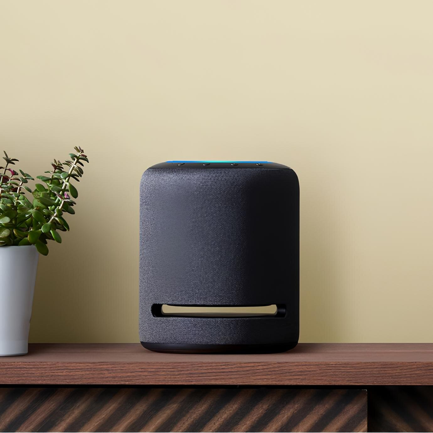 Czarny głośnik smart stoi na drewnianej półce. Roślina w białej doniczce po lewej. Tło to beżowa ściana.