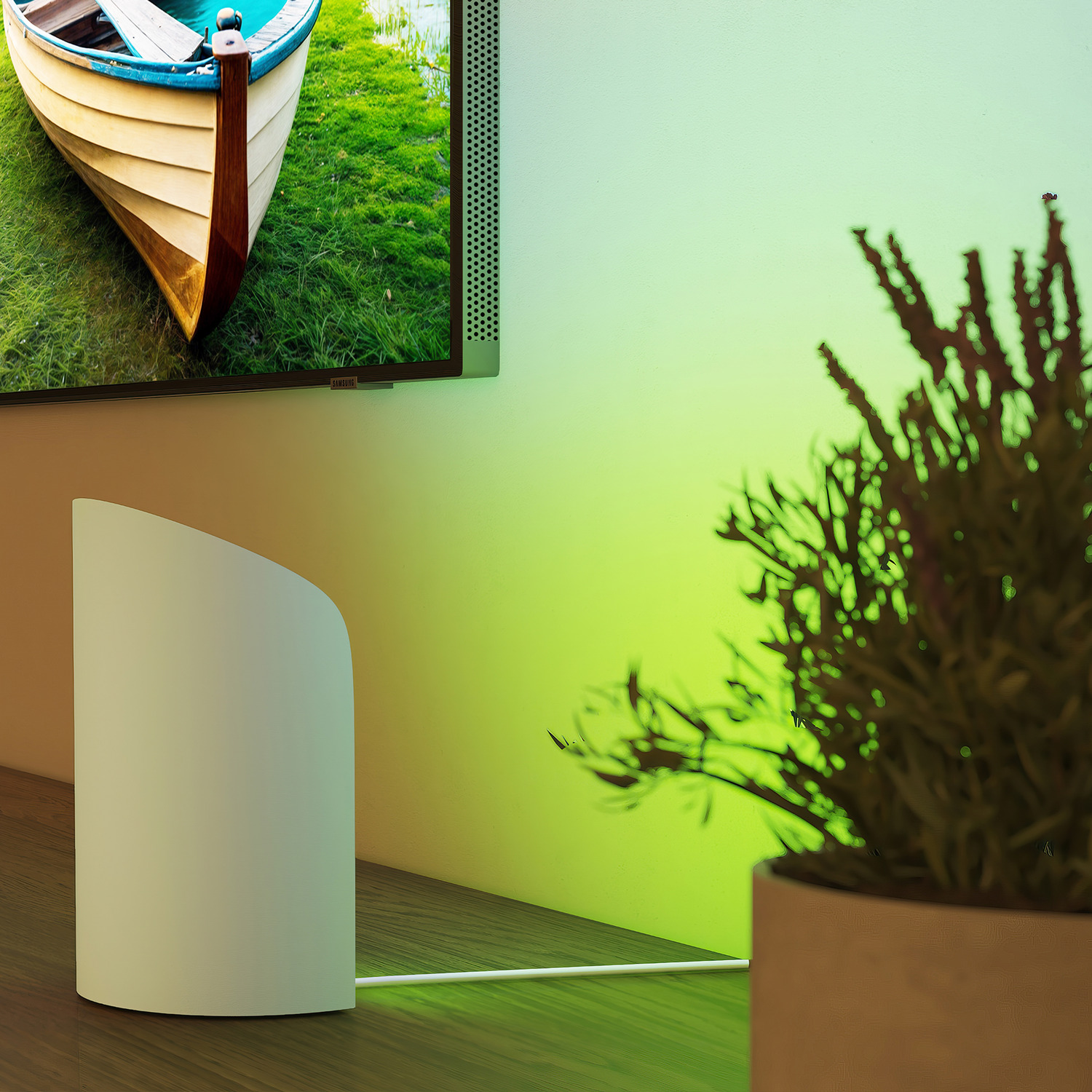 Een tv toont een boot op gras. Een witte luidspreker staat op een houten oppervlak. Een potplant staat op de achtergrond.