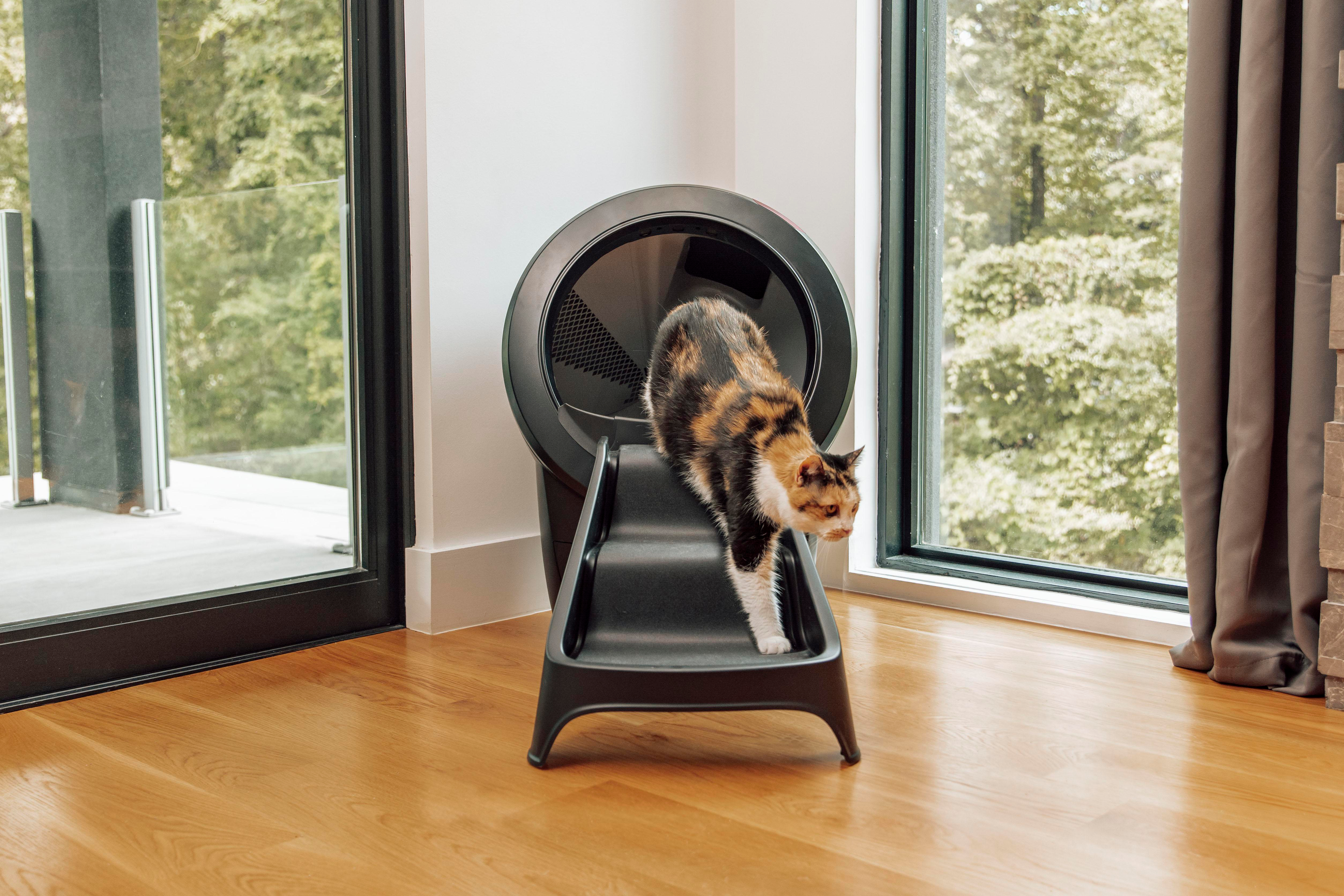 Eine Schildpattkatze verlässt eine schwarze Katzentoilette über eine Rampe. Der Raum hat ein Fenster mit Bäumen draußen und Holzböden.