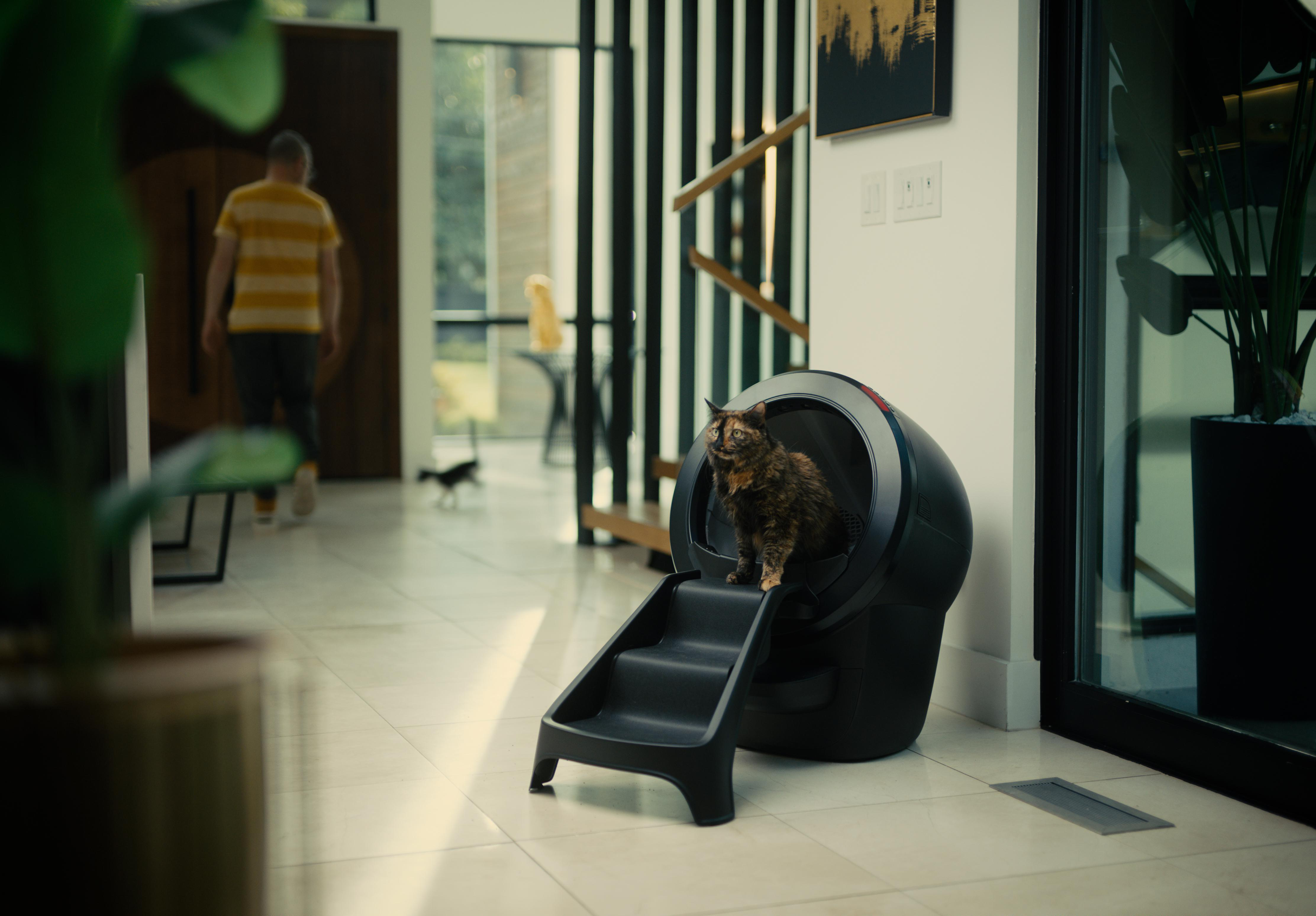 Eine Katze sitzt in einer schwarzen Katzentoilette. Ein Mann geht im Hintergrund. Die Szene ist in einem modernen Zuhause.