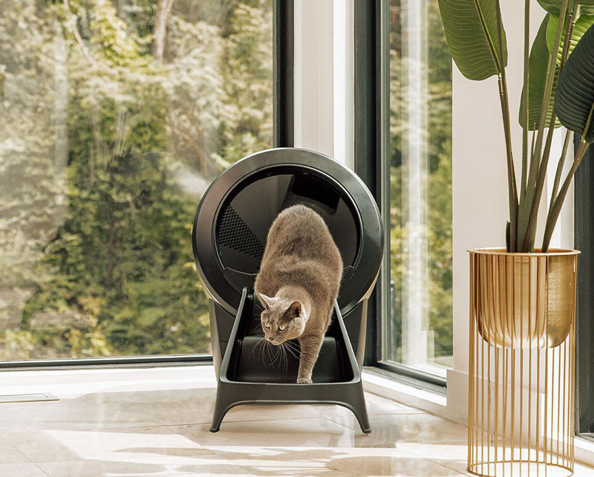 Eine graue Katze verlässt eine schwarze Katzentoilette. Rechts steht ein goldener Pflanzenständer mit grünen Blättern. Im Hintergrund sind Bäume zu sehen.