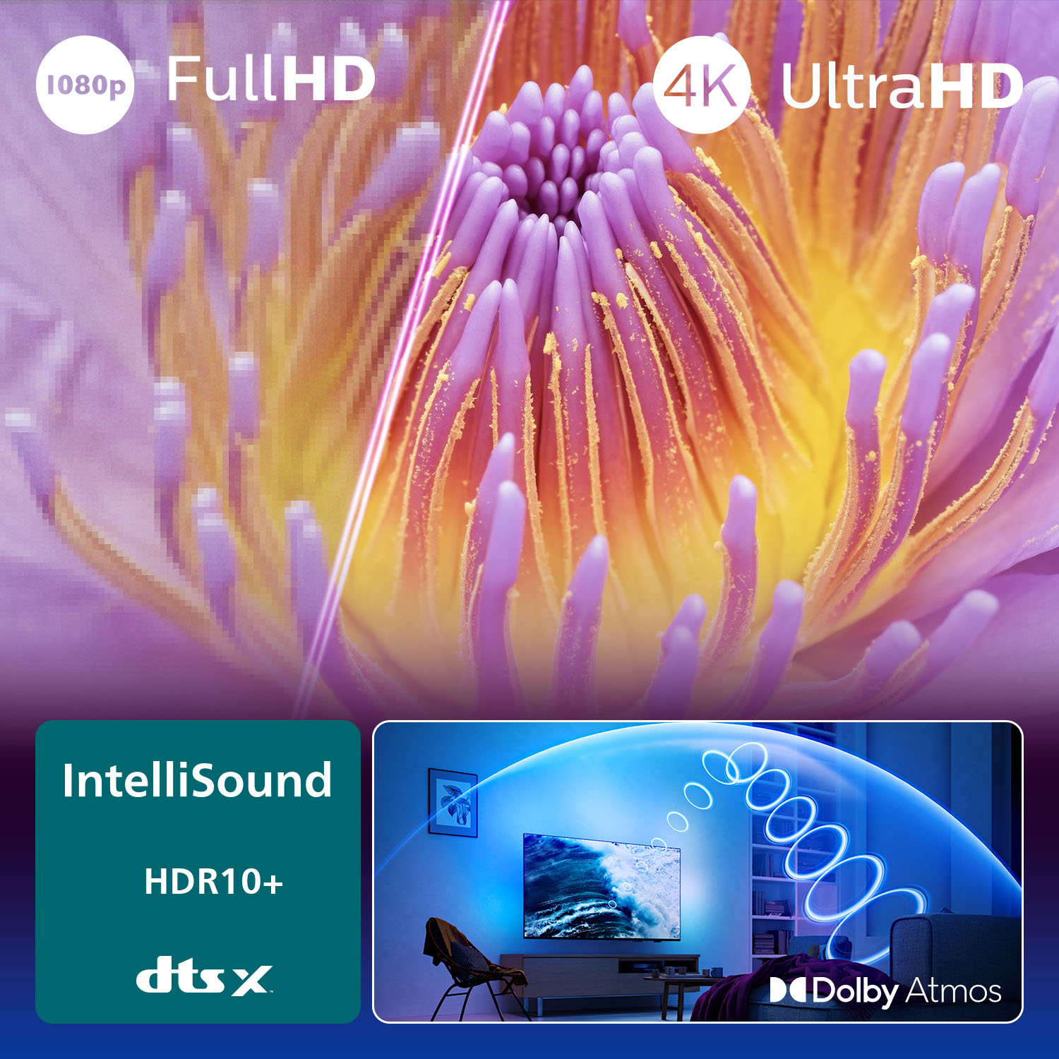 Görüntü, mor yapraklı ve sarı merkezli bir çiçek, 4K, UltraHD ve Dolby Atmos gibi TV özellikleri gösteriyor.