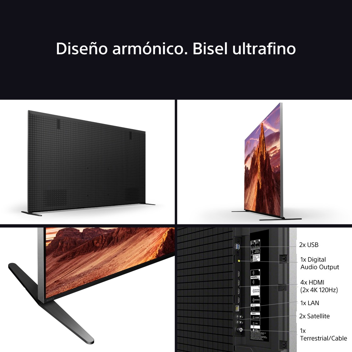 Un televisor negro con diseño de rejilla. Detalles: 2x USB, 1x salida de audio digital, 4x HDMI, 1x LAN, 2x satélite, 1x terrestre/cable.