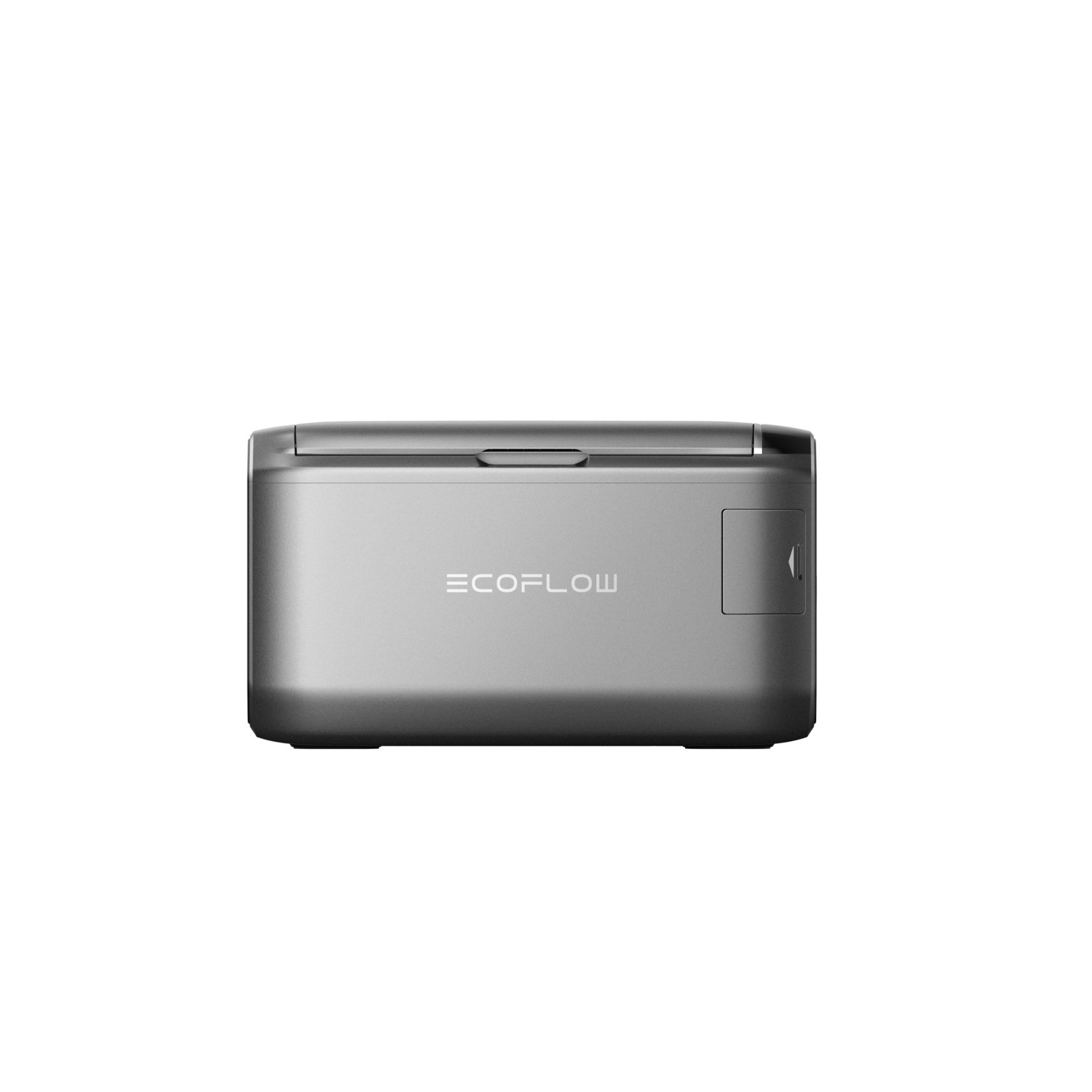 A silver EcoFlow power station is centered on a white background. It has a rectangular shape with a handle and a side compartment.