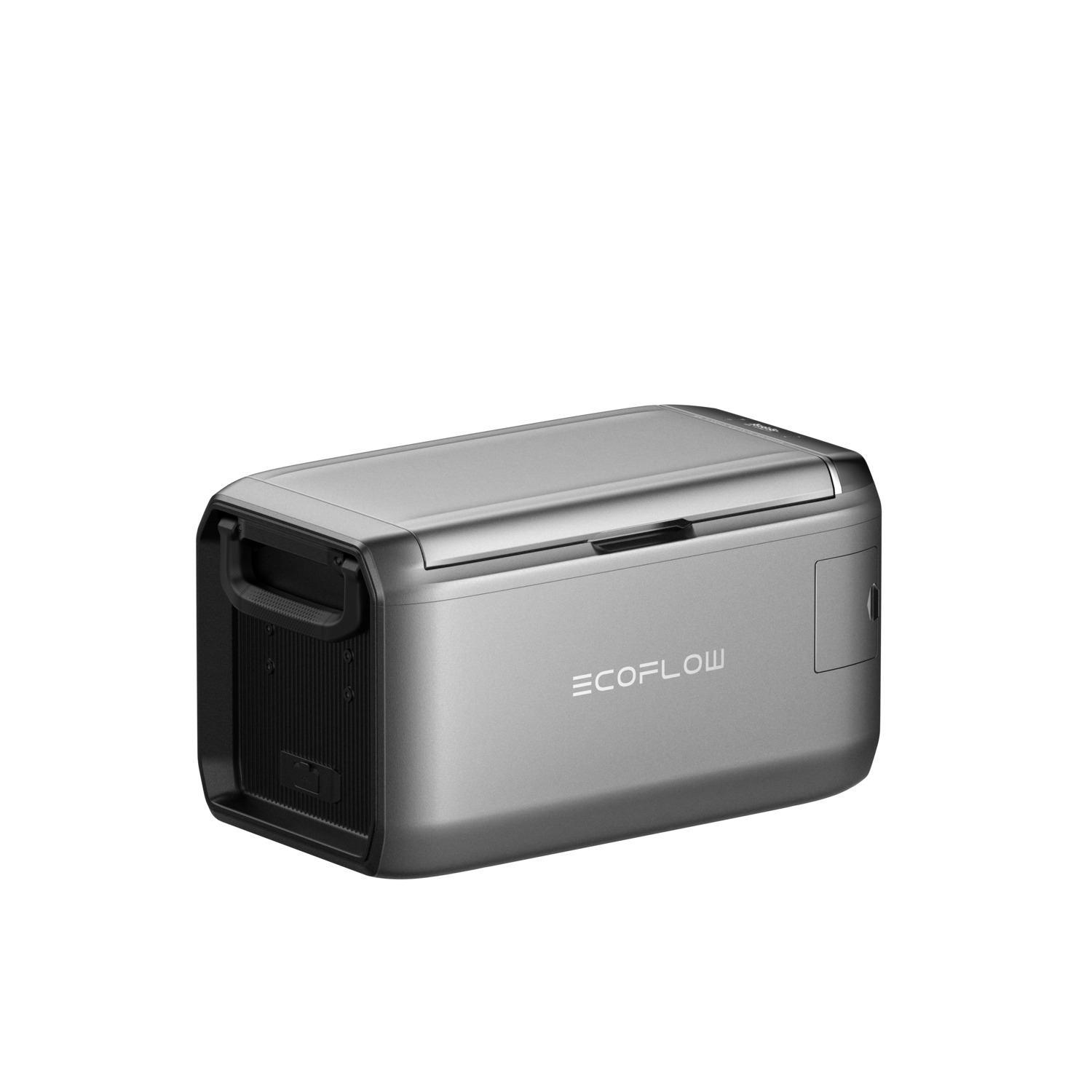 A silver-gray EcoFlow portable power station. It has a handle, a black grill, and the brand name on the side.