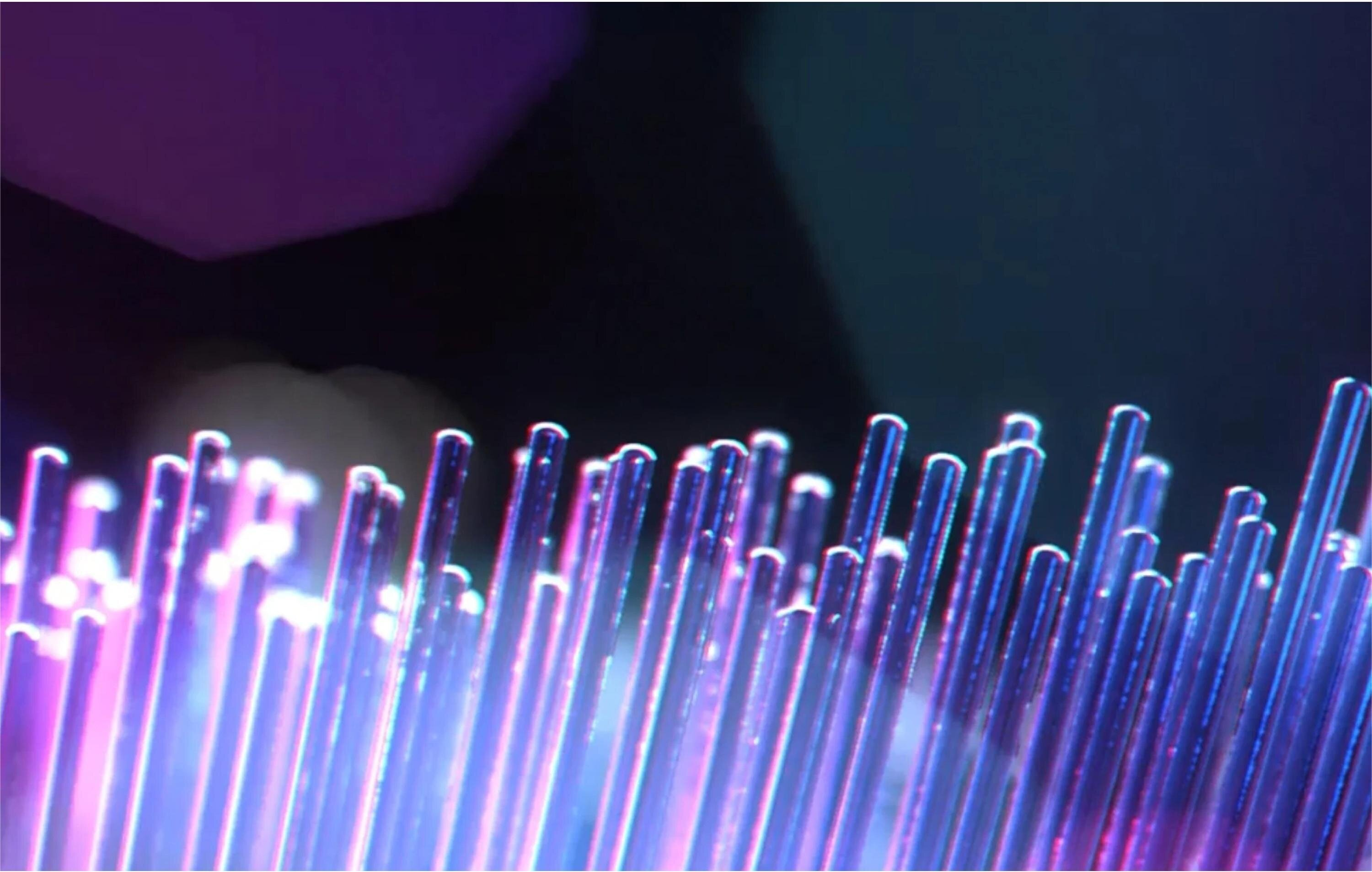 Zbliżenie podświetlonych światłowodów. Dominują odcienie fioletu i niebieskiego. Tło jest ciemne z odcieniem fioletu.