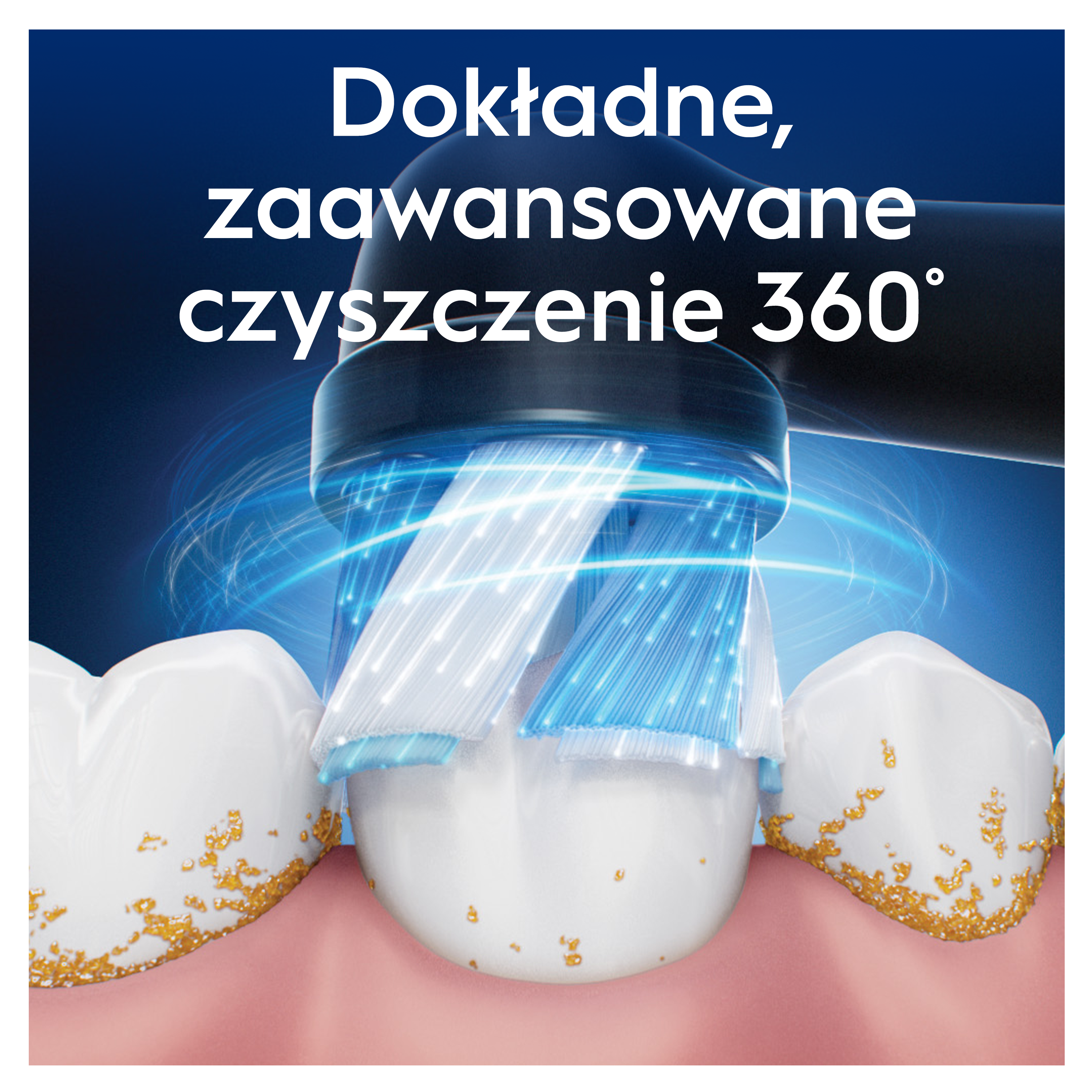 Elektryczna szczoteczka do zębów czyszcząca zęby. Główka szczoteczki ma białe i niebieskie włosie, zęby mają płytkę nazębną i niebieskie tło.