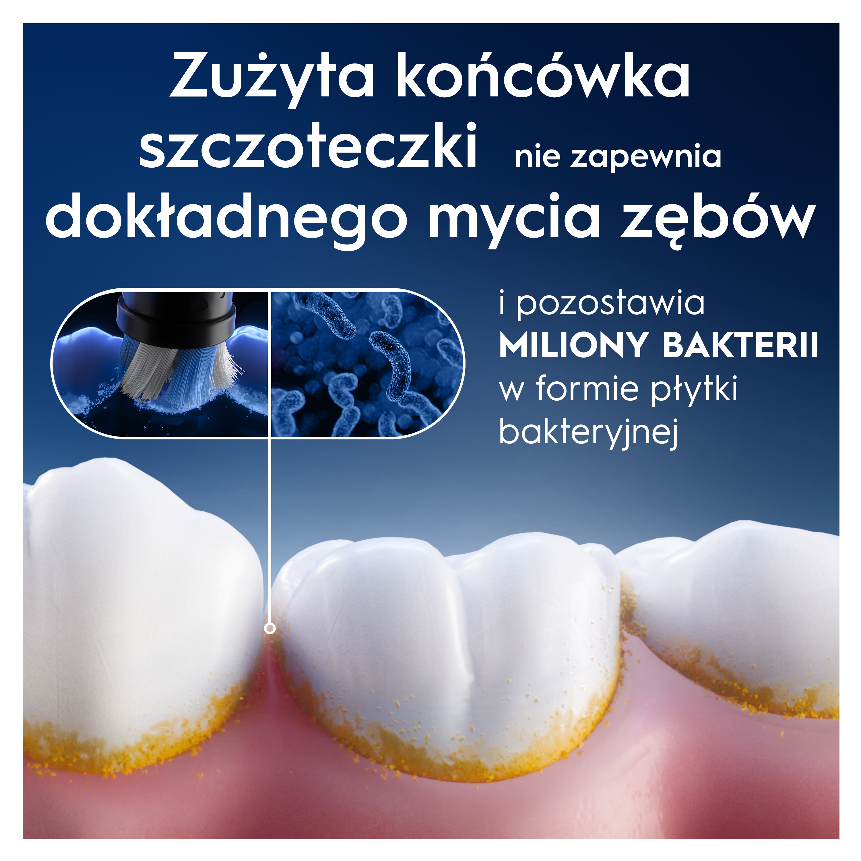 Obraz przedstawia zęby z płytką nazębną i tekstem o główkach szczoteczek do zębów. Szczoteczka do zębów czyści zęby. Pokazano również bakterie.