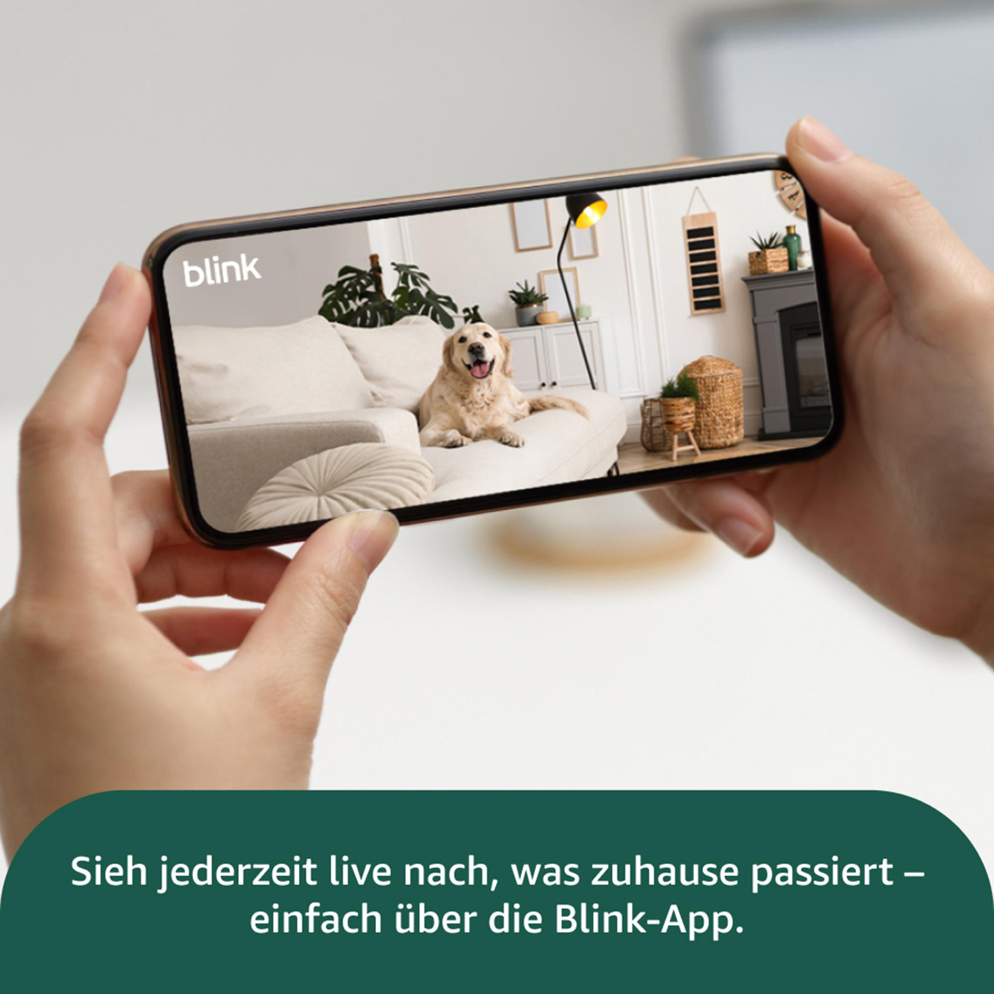 Ein Telefon zeigt ein Wohnzimmer mit einem Hund auf einer Couch. Hände halten das Telefon und zeigen eine Home-Security-App.