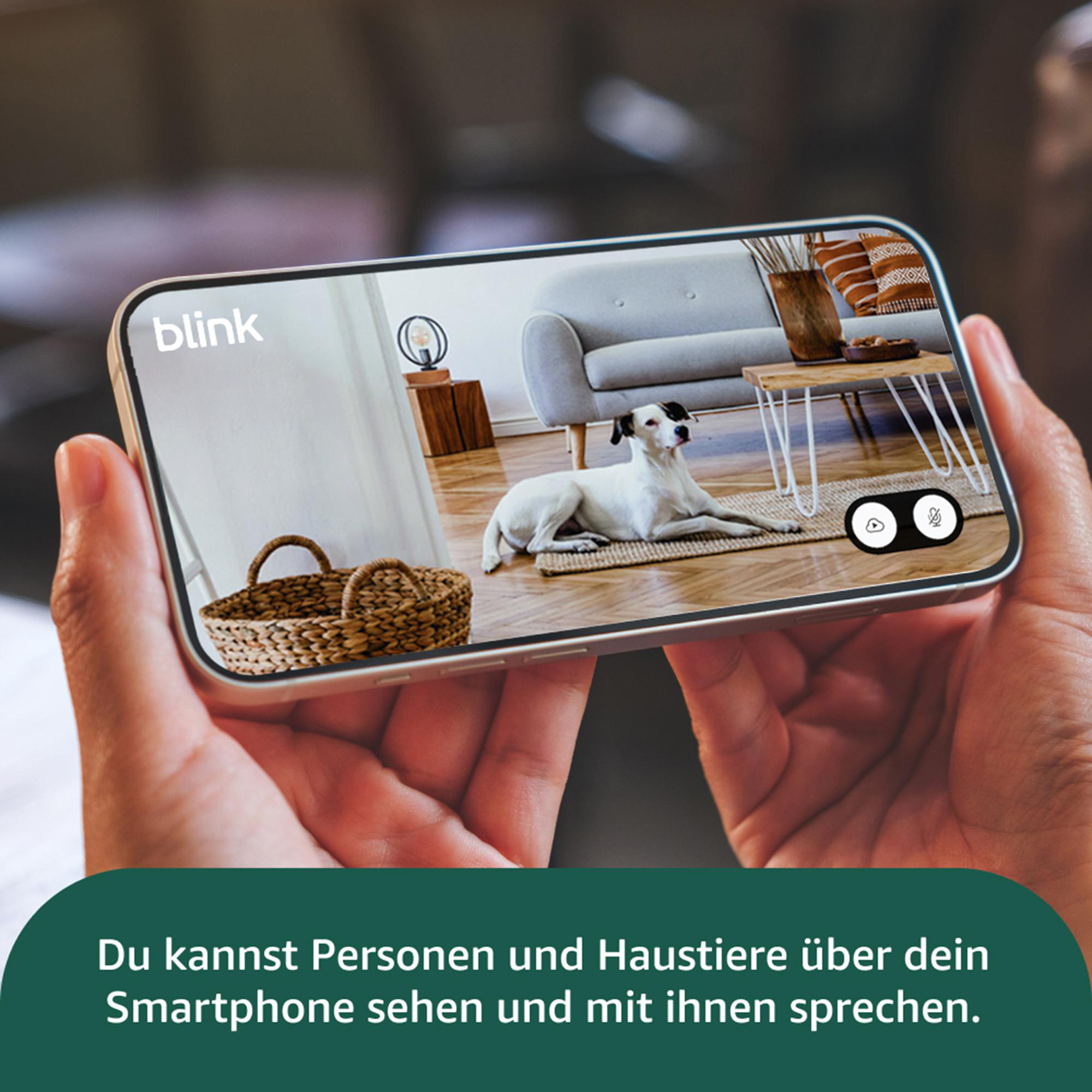 Ein Telefon zeigt einen Hund in einem Wohnzimmer. Hände halten das Telefon. Text sagt, dass man Haustiere sehen und mit ihnen sprechen kann.