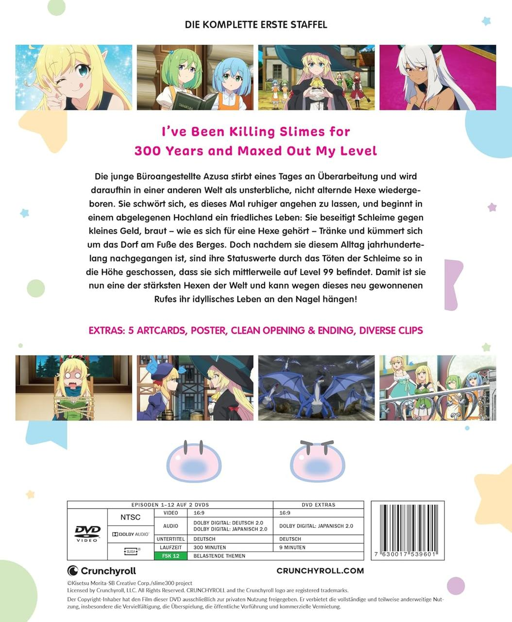 DVD-Cover mit Anime-Charakteren. Text: I've Been Killing Slimes for 300 Years and Maxed Out My Level.