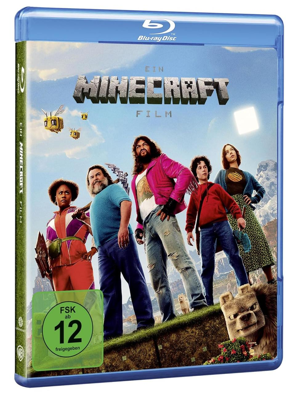 Filmcover: Fünf Personen und ein Tier stehen vor einer Berglandschaft. Minecraft-Logo oben.