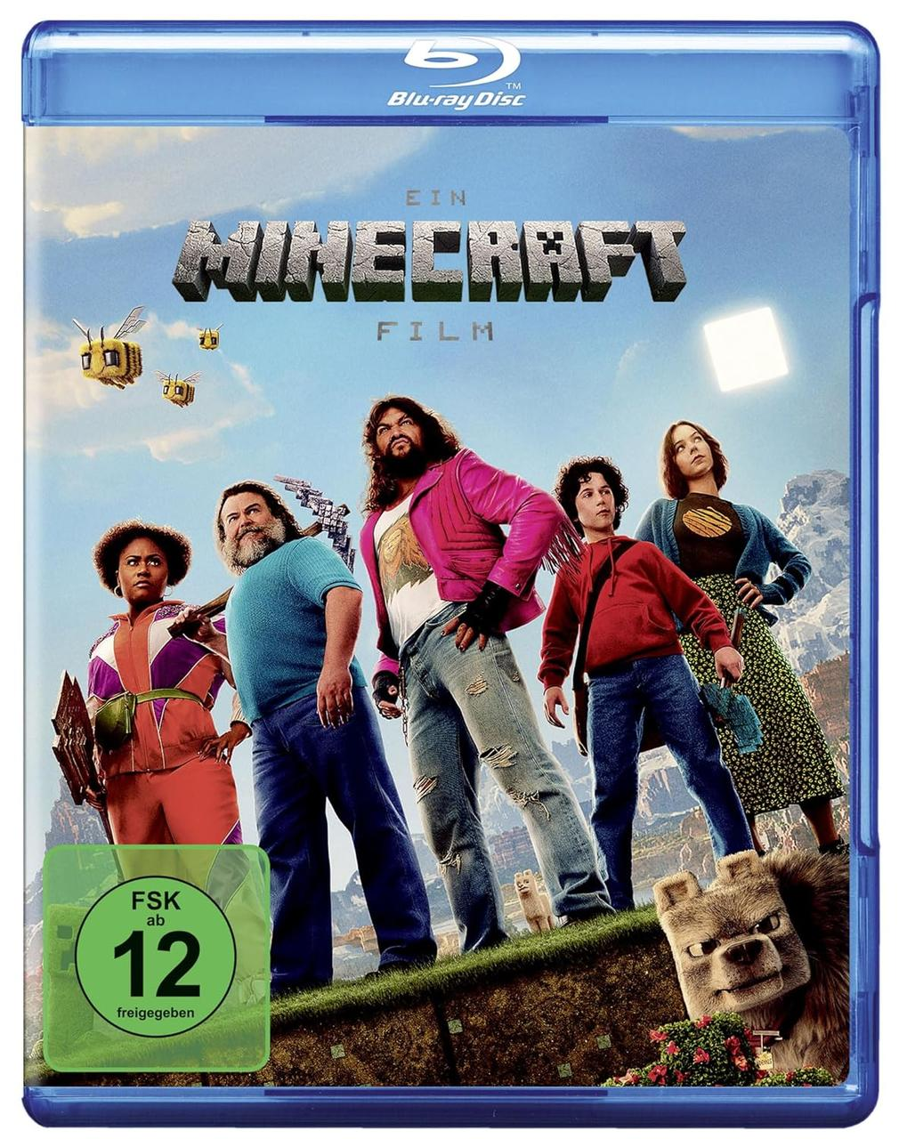 Fünf Charaktere stehen auf einer grasbewachsenen Klippe, mit dem Minecraft-Logo.