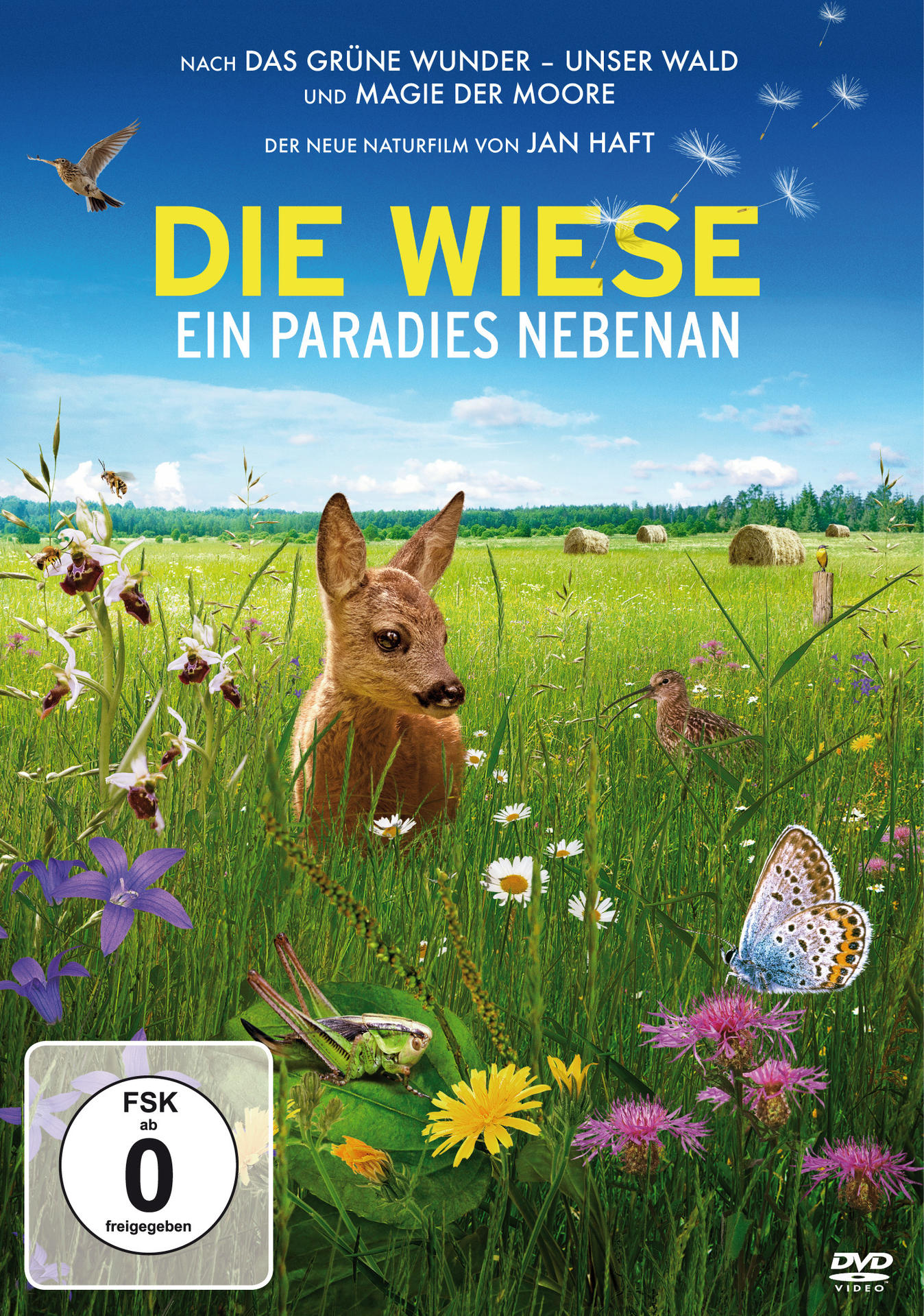 DVD-Cover: ein Reh auf einer Wiese mit verschiedenen Blumen, Insekten und einem Vogel. Der Titel ist 'Die Wiese'.