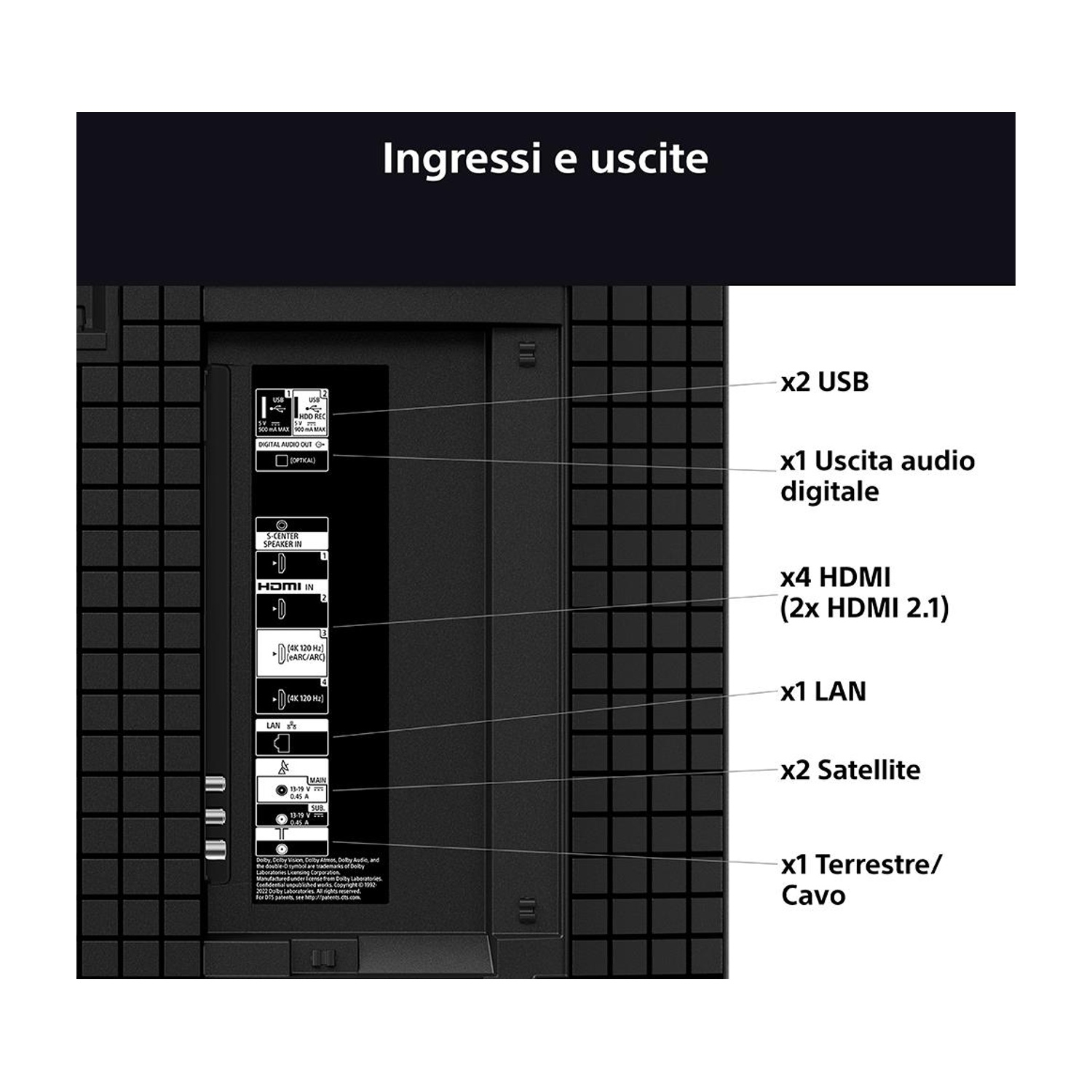 Pannello posteriore TV nero con varie porte etichettate. Include uscite USB, HDMI, LAN, satellite e audio.