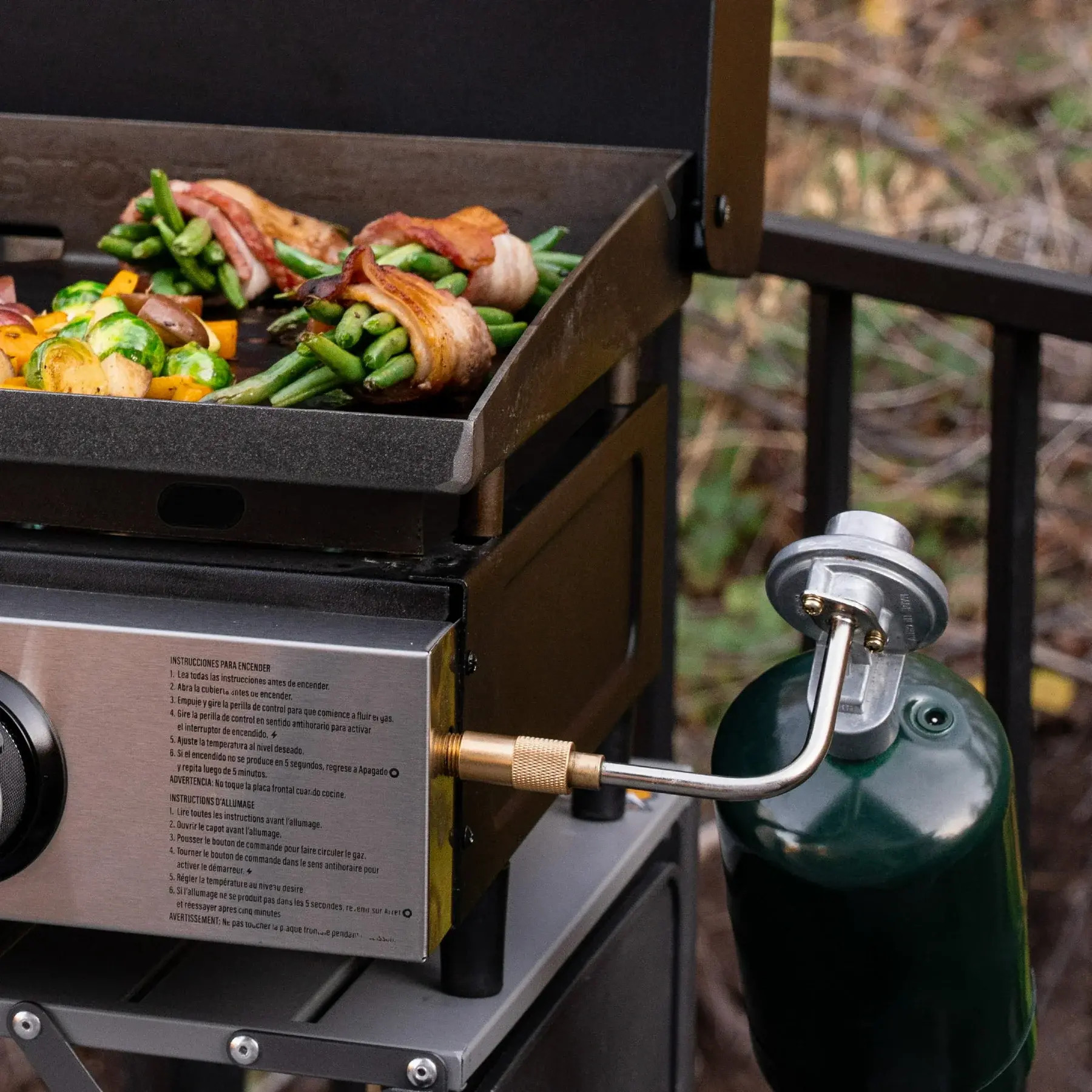 Grill z fasolką szparagową zawiniętą w bekon i innymi warzywami. Dołączony jest zbiornik gazu.