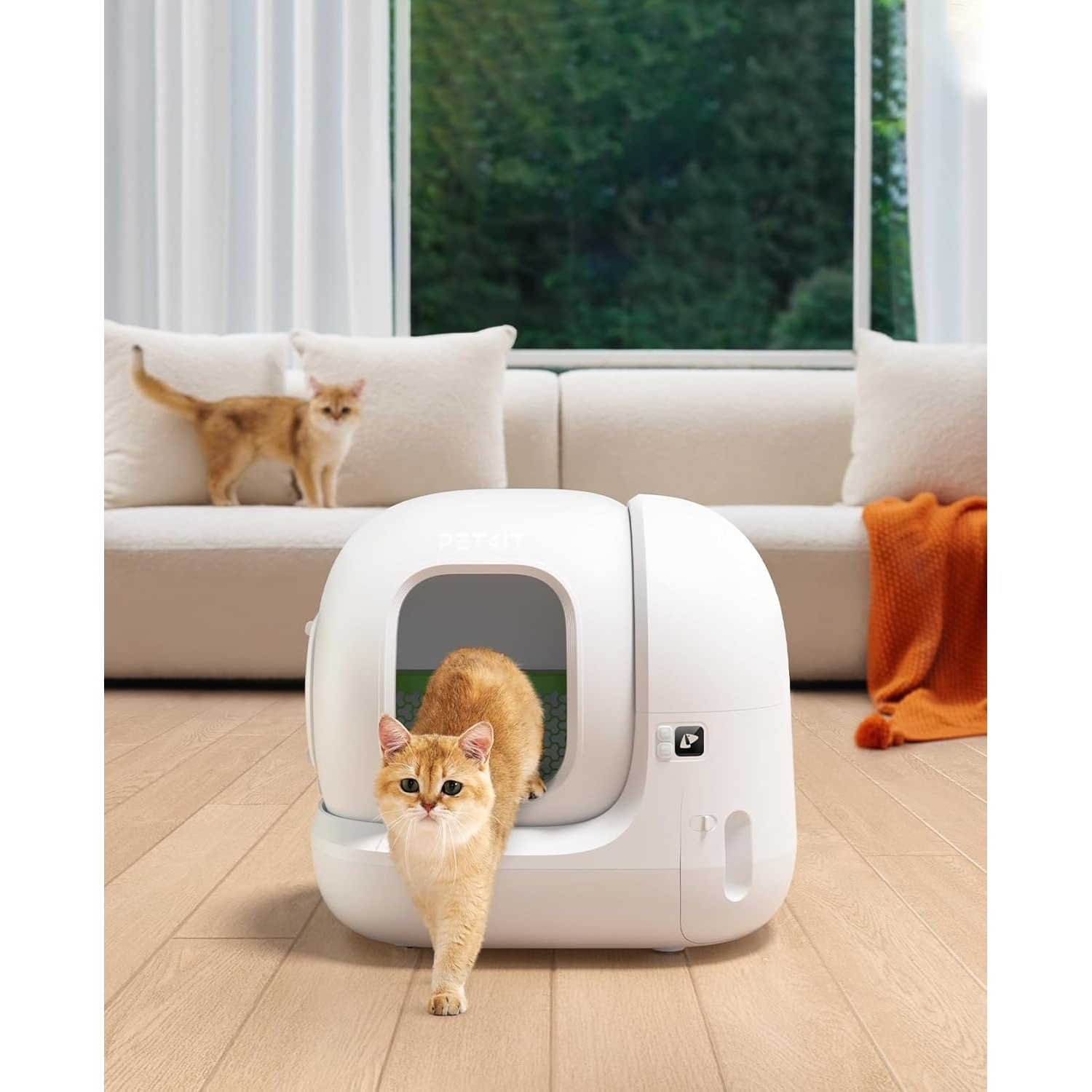 Un gatto esce da una lettiera automatica bianca, mentre un altro gatto è su un divano. Una coperta arancione è sul divano.