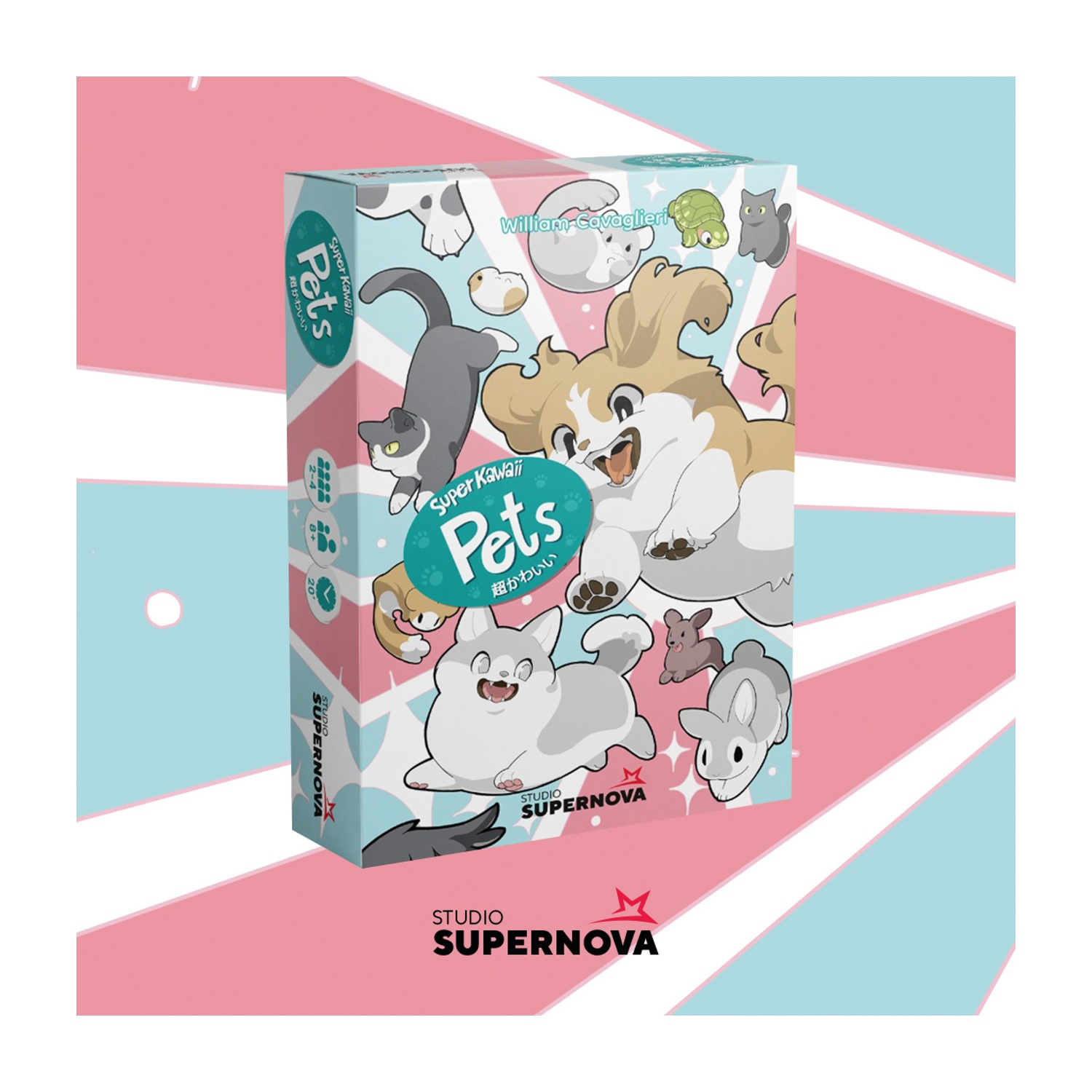 Una scatola di gioco intitolata Pets. Presenta animali dei cartoni animati come gatti, cani e conigli. Lo sfondo è azzurro e rosa con raggi.