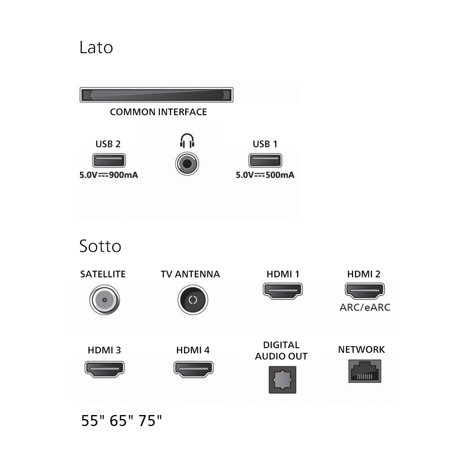 Schema delle porte TV: Interfaccia comune, USB, jack per cuffie, satellite, antenna TV, HDMI, uscita audio digitale e porte di rete.
