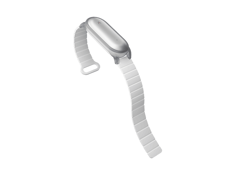Plaud Notepin Armband