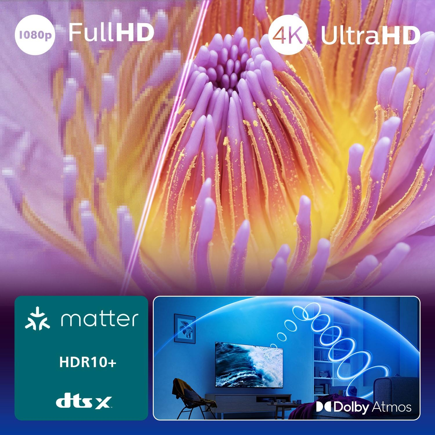 L'immagine mostra un fiore con petali viola. Inoltre, un soggiorno con un televisore e onde sonore blu.