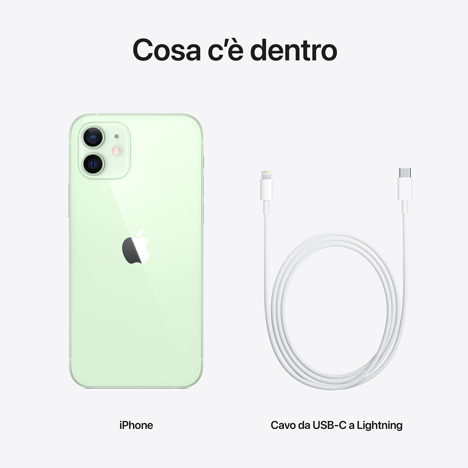 Un iPhone e un cavo da USB-C a Lightning su sfondo bianco. Il telefono è verde chiaro, il cavo è bianco.