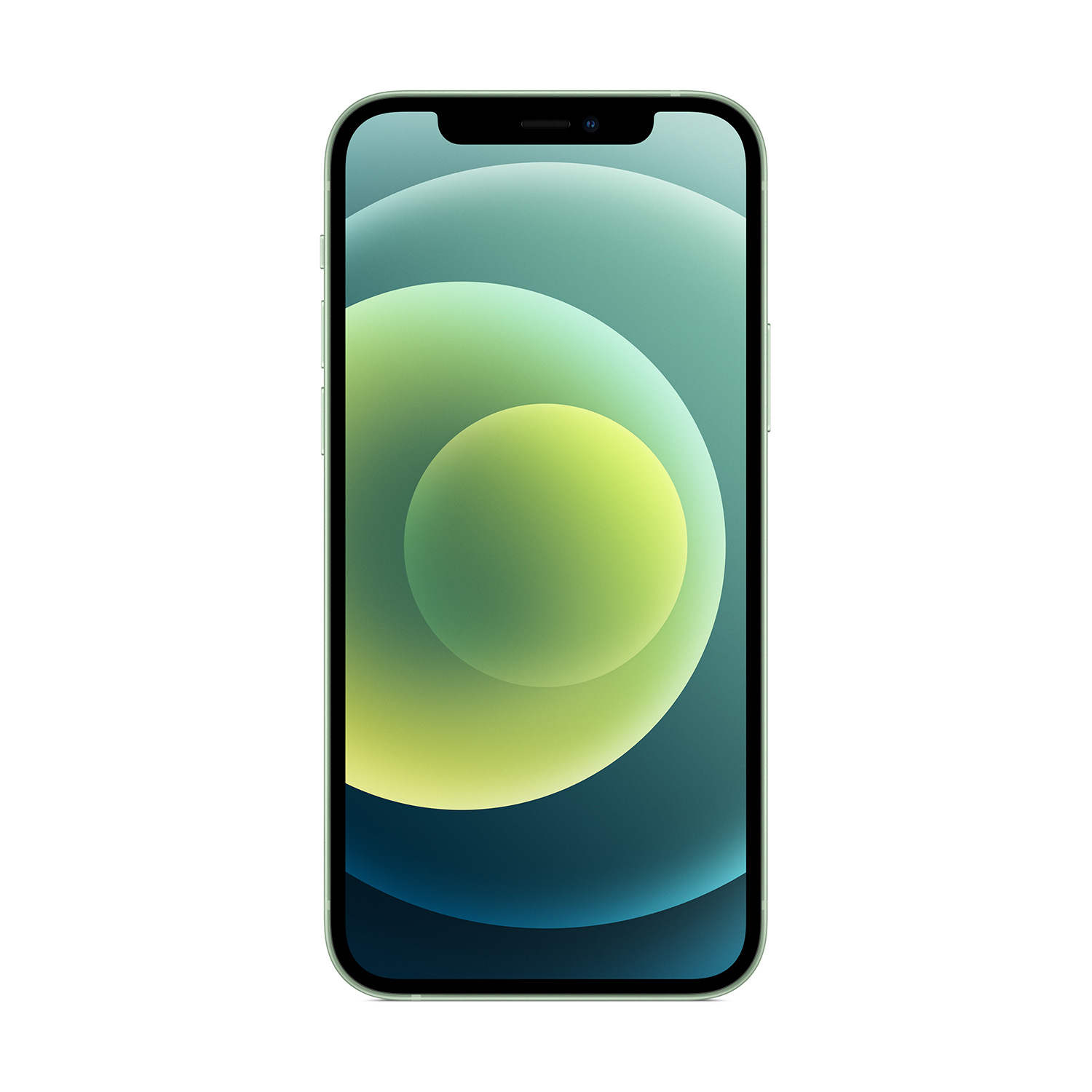 Un iPhone 12 verde con uno sfondo sfumato verde e giallo. Il telefono è su sfondo bianco.