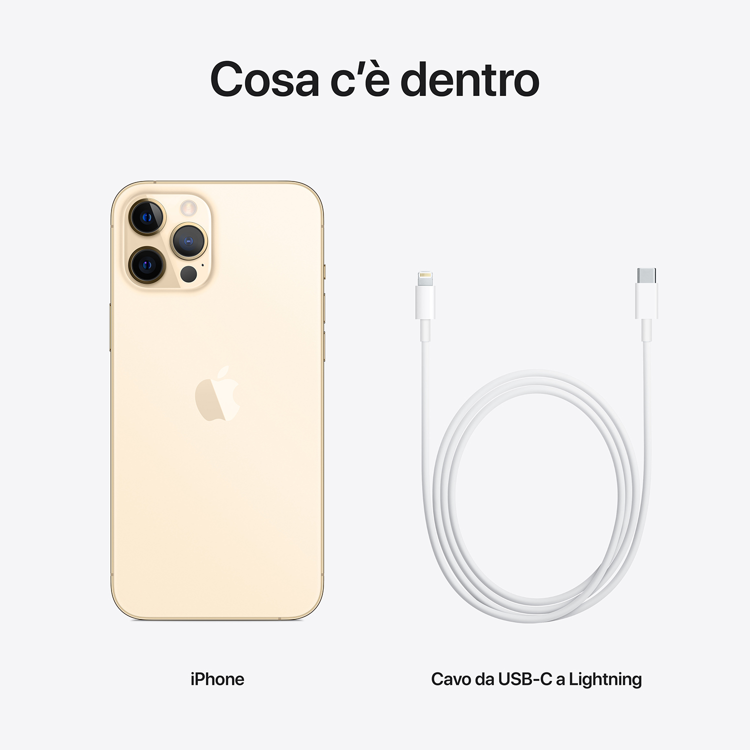 Un iPhone color oro e un cavo da USB-C a Lightning bianco sono esposti su sfondo bianco.