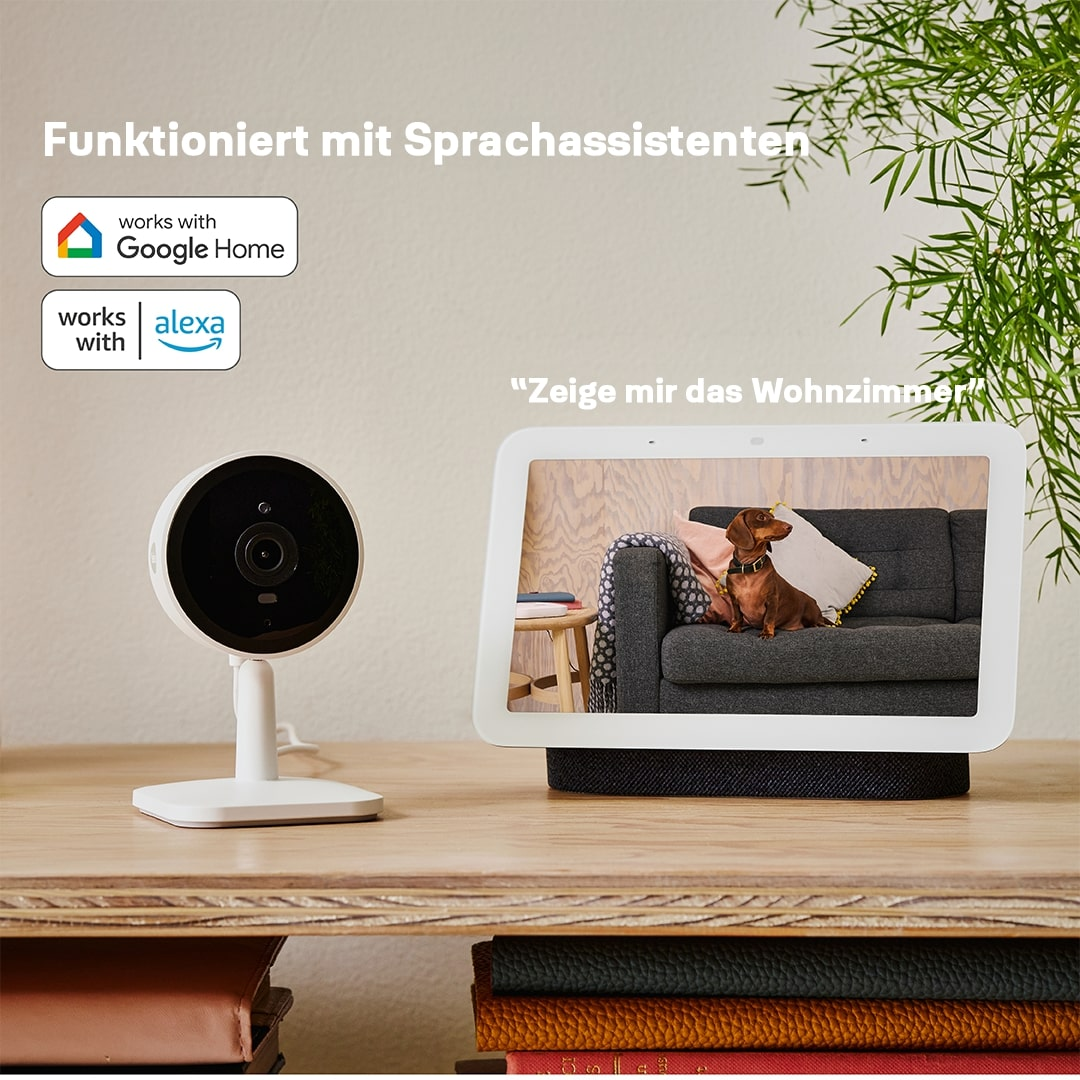 Ein Smart-Kamera- und Display-Setup. Das Display zeigt einen Hund auf einer Couch. Text zeigt Kompatibilität mit Google Home und Alexa an.