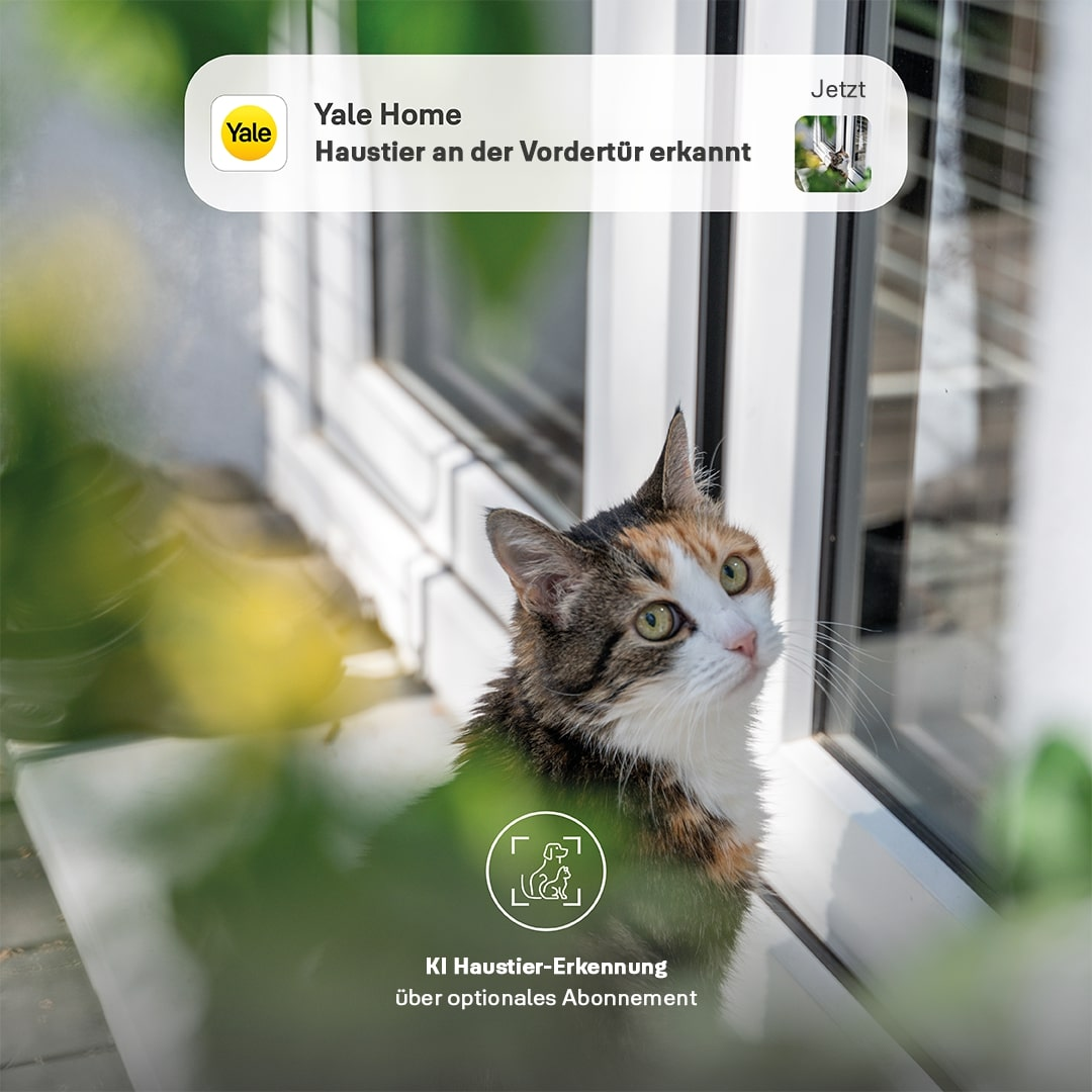Eine Schildpattkatze schaut auf, in der Nähe eines Fensters. Eine Benachrichtigung zeigt 'Yale Home' mit Haustier erkannt.