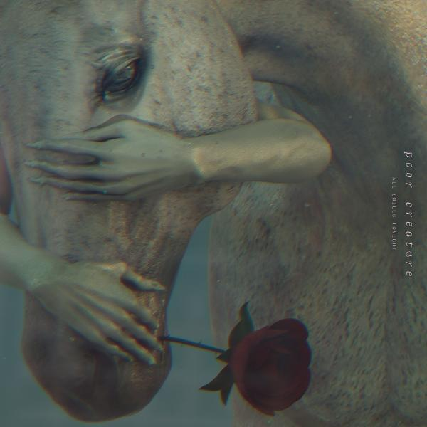 Ein Pferd unter Wasser wird von einem Menschen umarmt. Eine rote Rose wird im Maul des Pferdes gehalten. Hände bedecken das Gesicht des Pferdes.