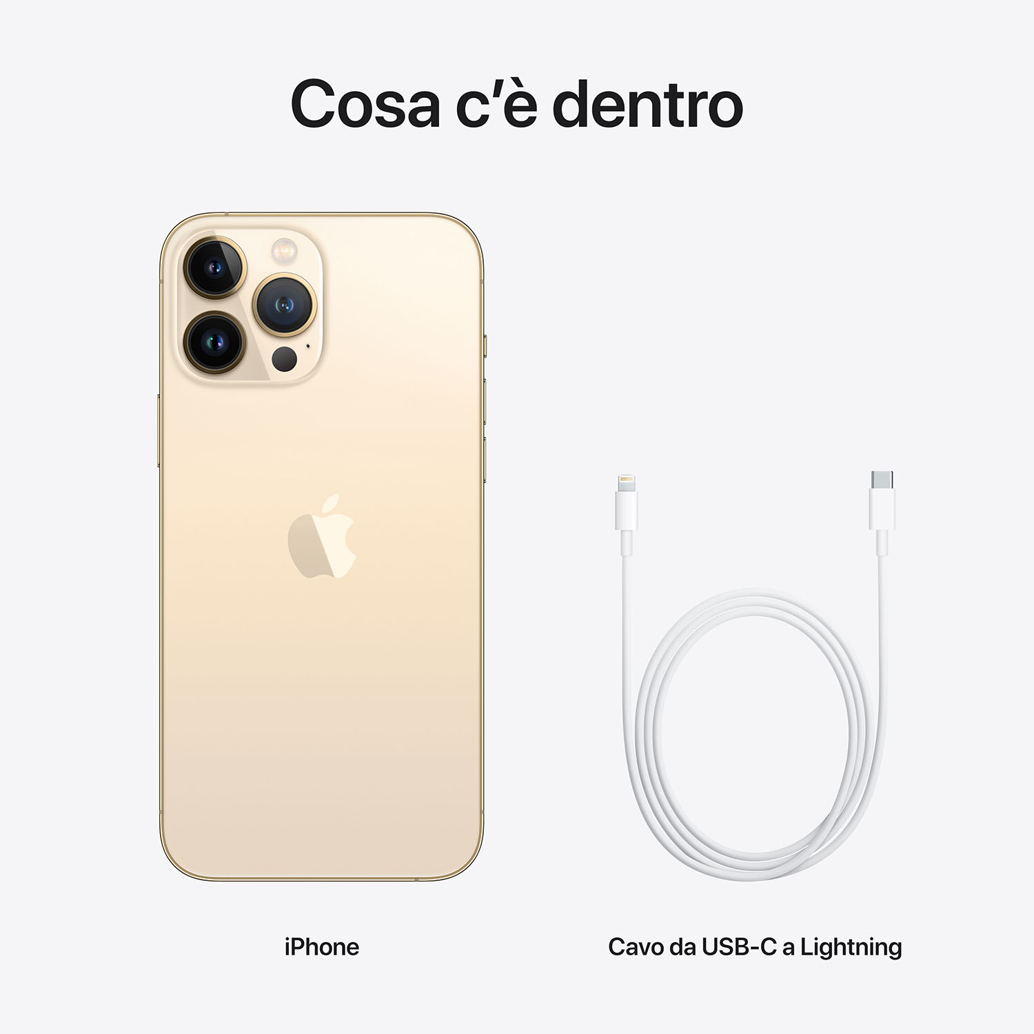 iPhone oro accanto a un cavo bianco da USB-C a Lightning. Il testo sopra dice 'Cosa c'è dentro'.