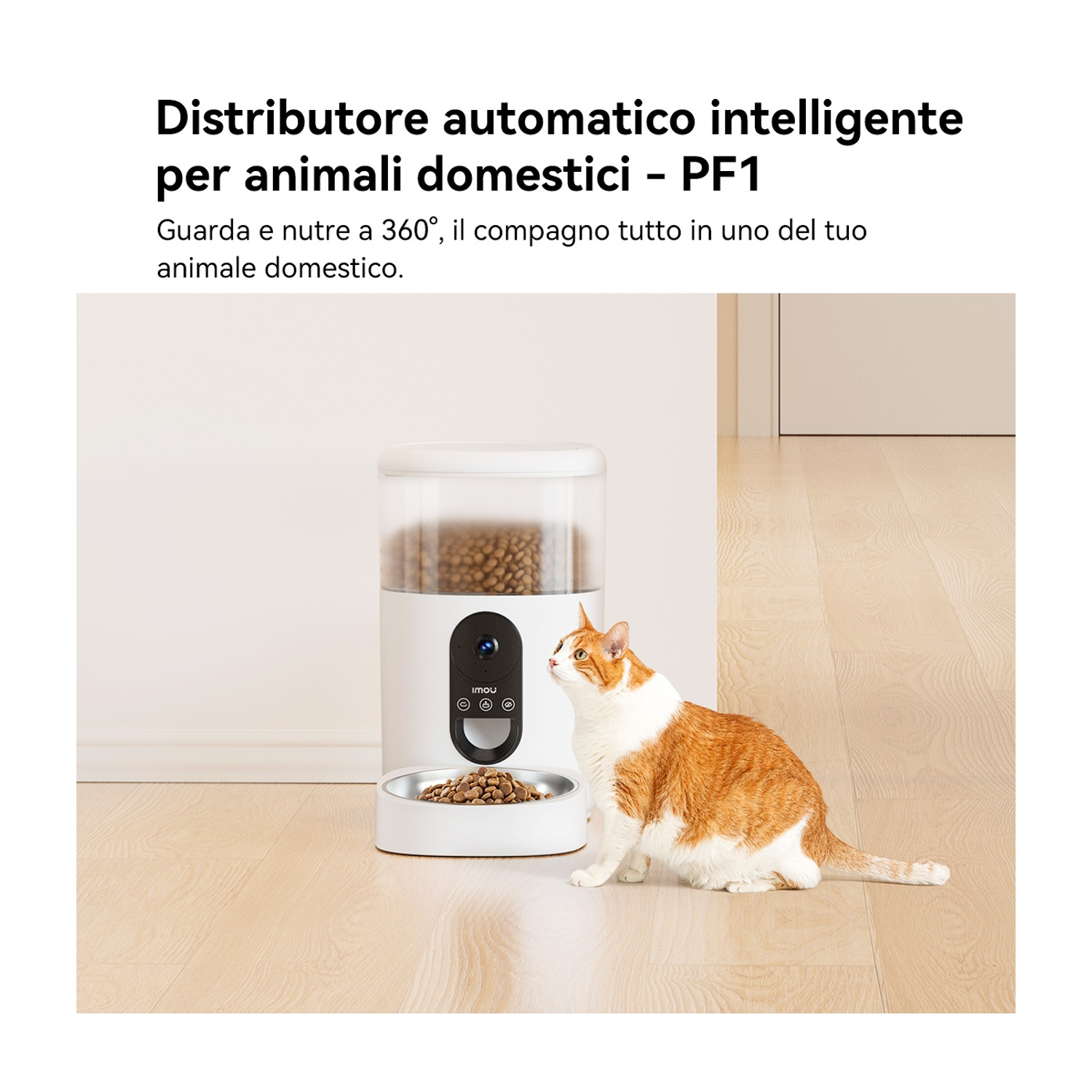 Un gatto bianco e arancione è seduto vicino a un distributore di cibo bianco per animali domestici. Il distributore ha cibo visibile e una ciotola di metallo.