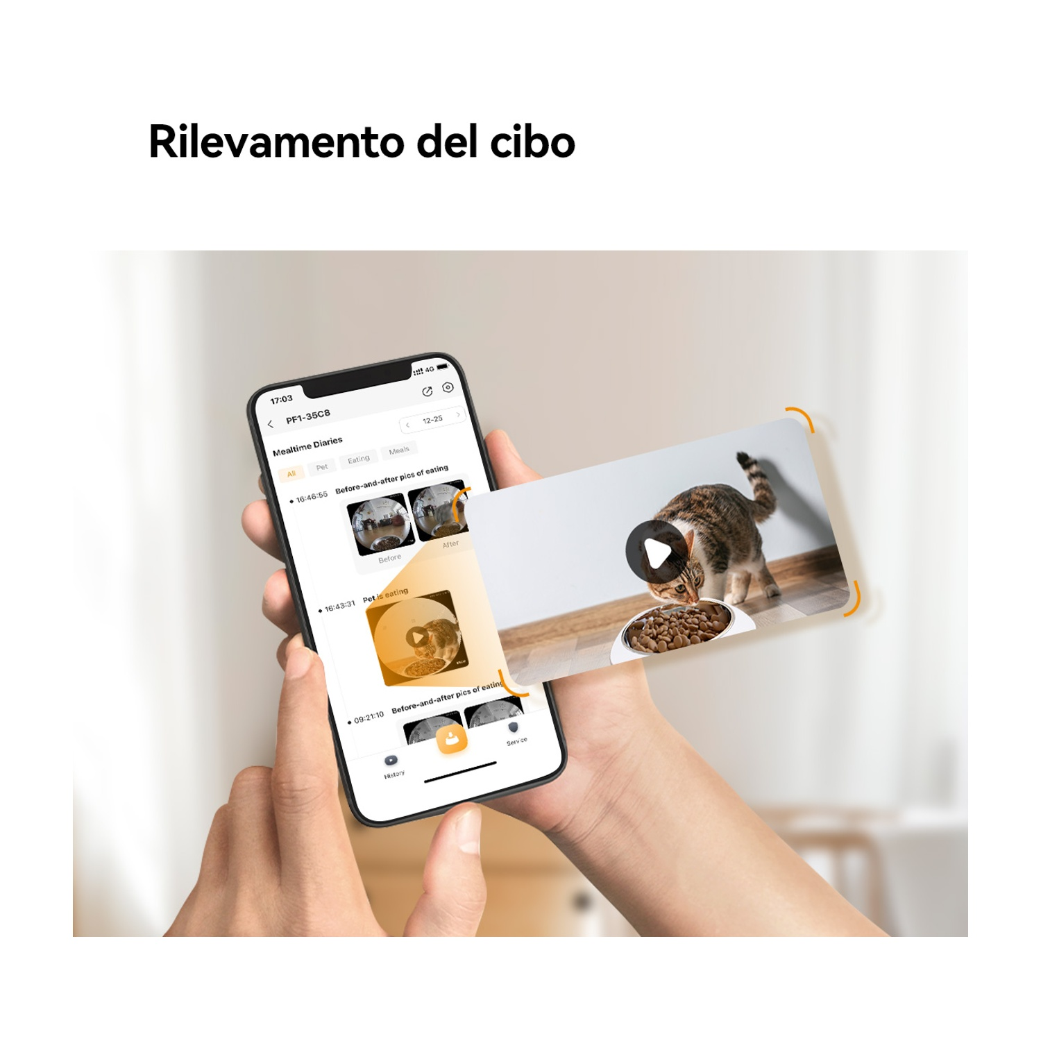 Una mano tiene un telefono che mostra un'app per l'alimentazione dei gatti. Un gatto mangia da una ciotola sullo schermo.