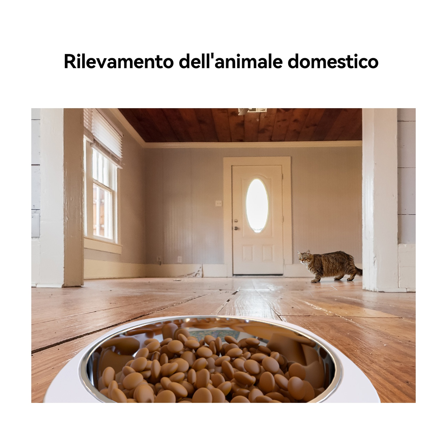 Un gatto cammina verso una porta. Una ciotola di crocchette marroni è in primo piano. La stanza è di legno.
