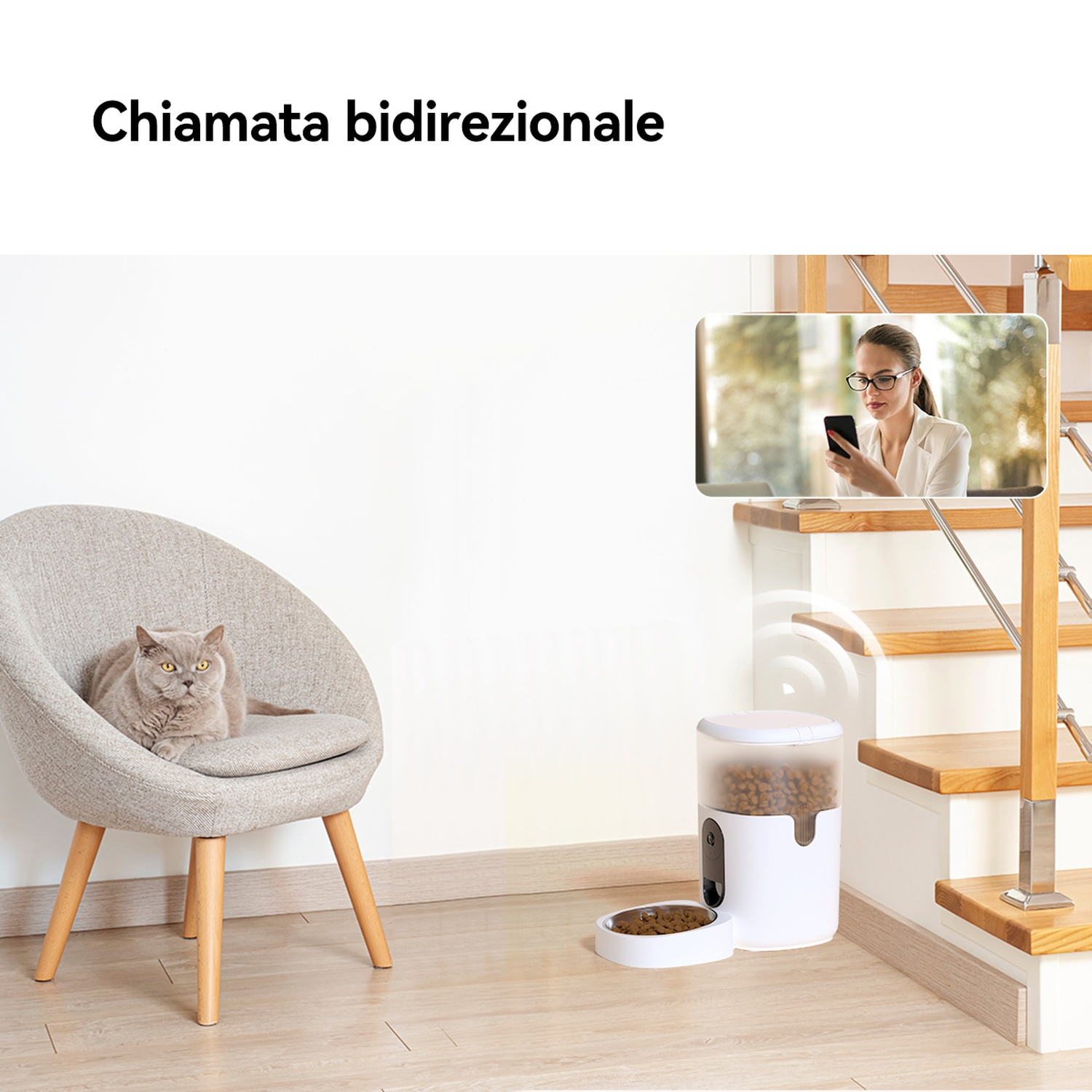 Un gatto seduto su una sedia. Una donna sullo schermo, con un telefono. Un distributore di cibo a destra.