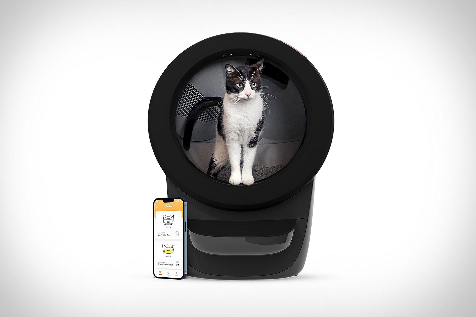 Eine schwarz-weiße Katze in einer schwarzen, selbstreinigenden Katzentoilette. Ein Telefon zeigt die App. Weißer Hintergrund.
