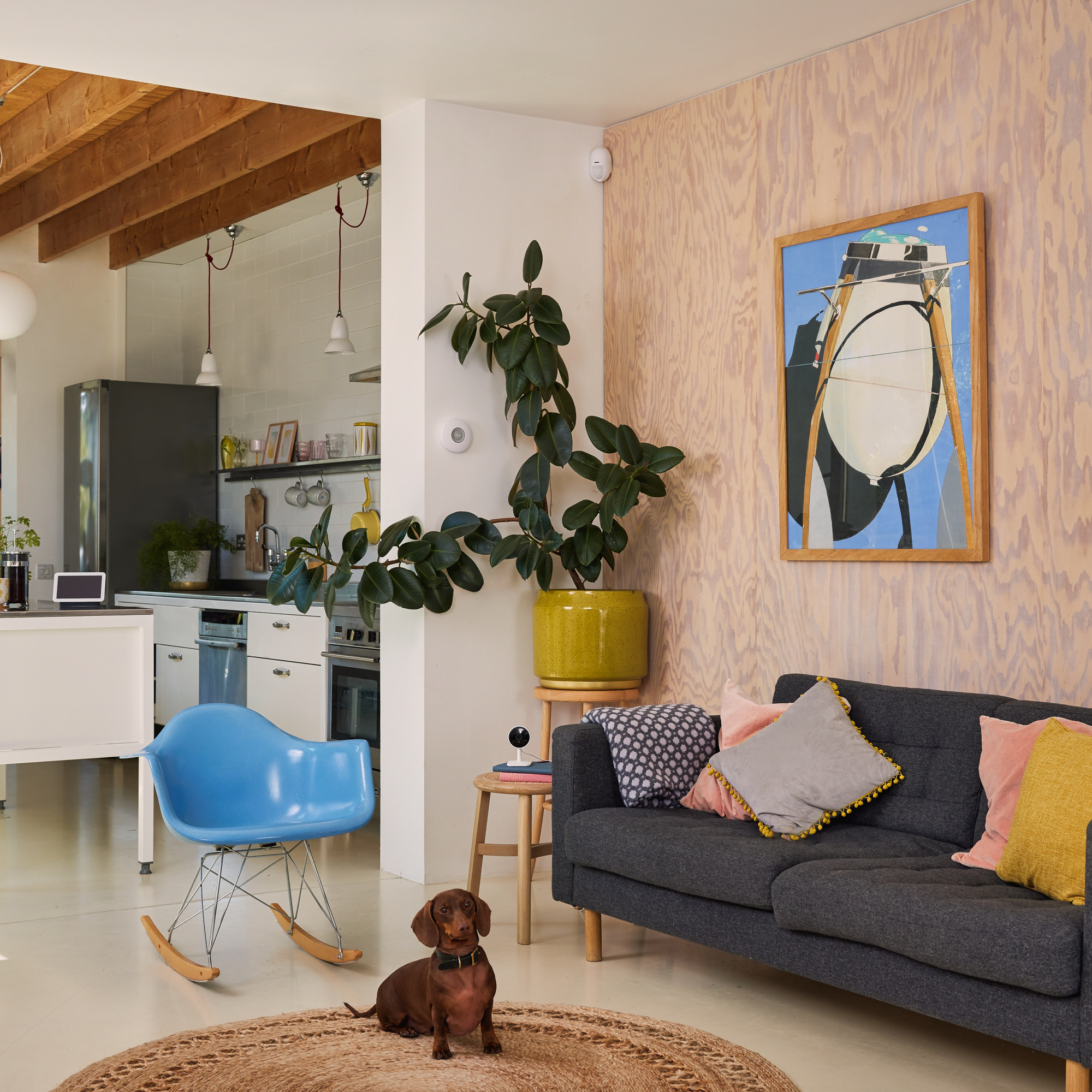 Wohnzimmer mit Hund auf einem Teppich, blauem Stuhl, grauem Sofa mit Kissen, einem Gemälde und einer Pflanze.
