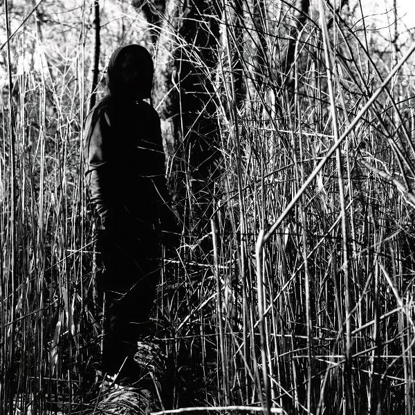 Eine Person in dunkler Kleidung steht in einem Wald. Hohe Gräser und Äste füllen den Raum. Die Person steht auf einem Baumstamm.