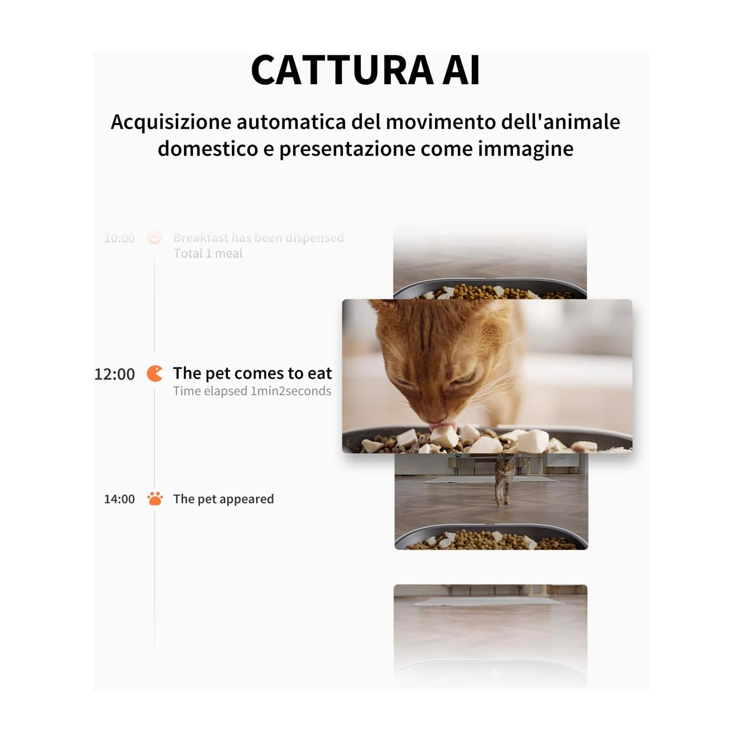 Un gatto arancione che mangia da una ciotola. Il testo indica l'acquisizione automatica dei movimenti degli animali domestici. La cronologia mostra gli orari dei pasti.