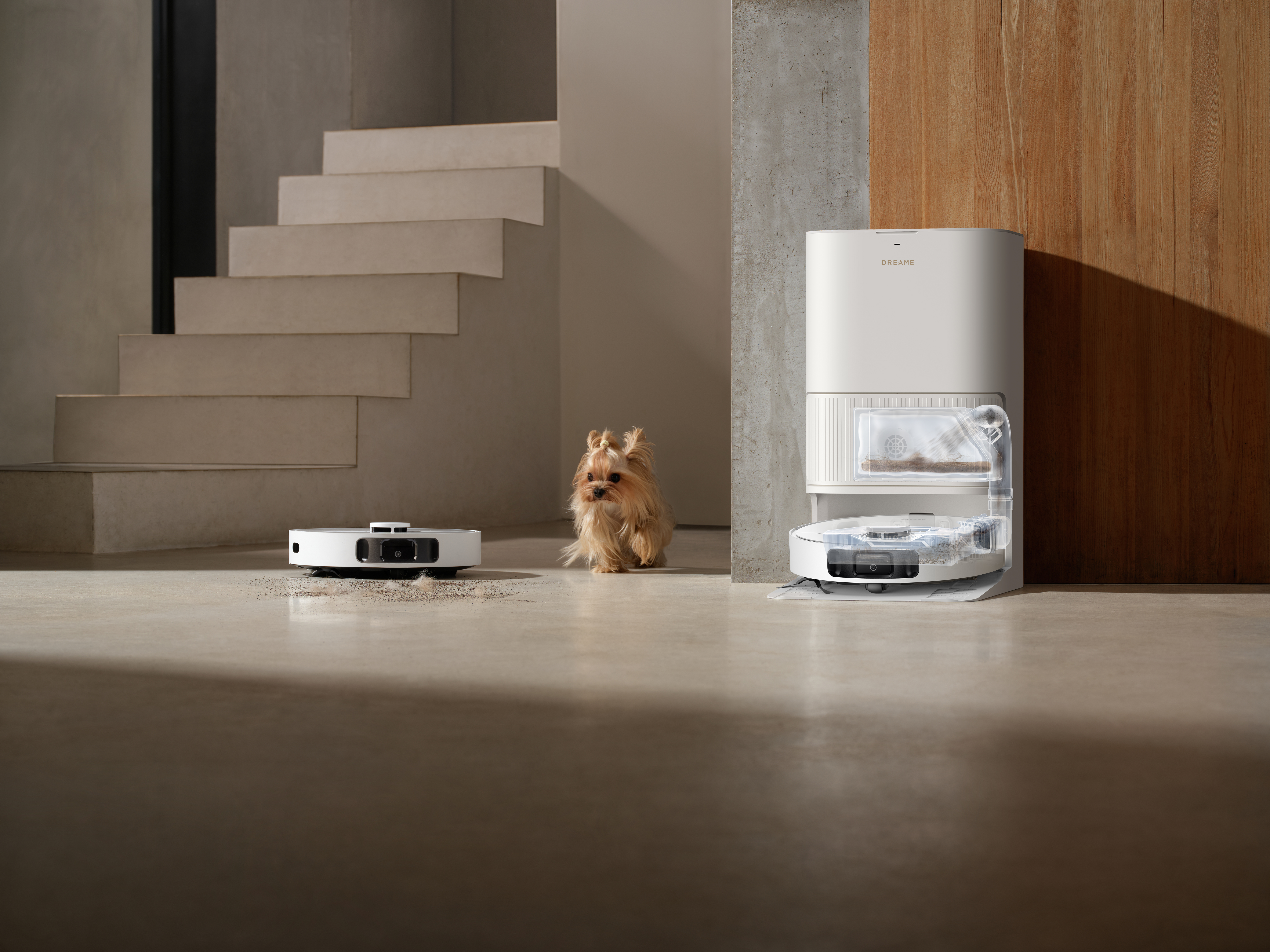 Robot sprzątający obok małego psa i stacji ładującej. W tle schody.